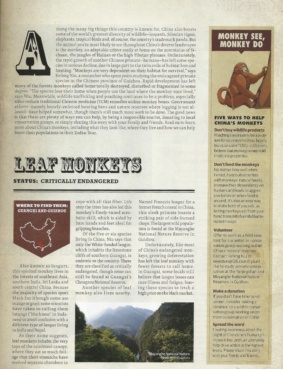 scan0086.jpg