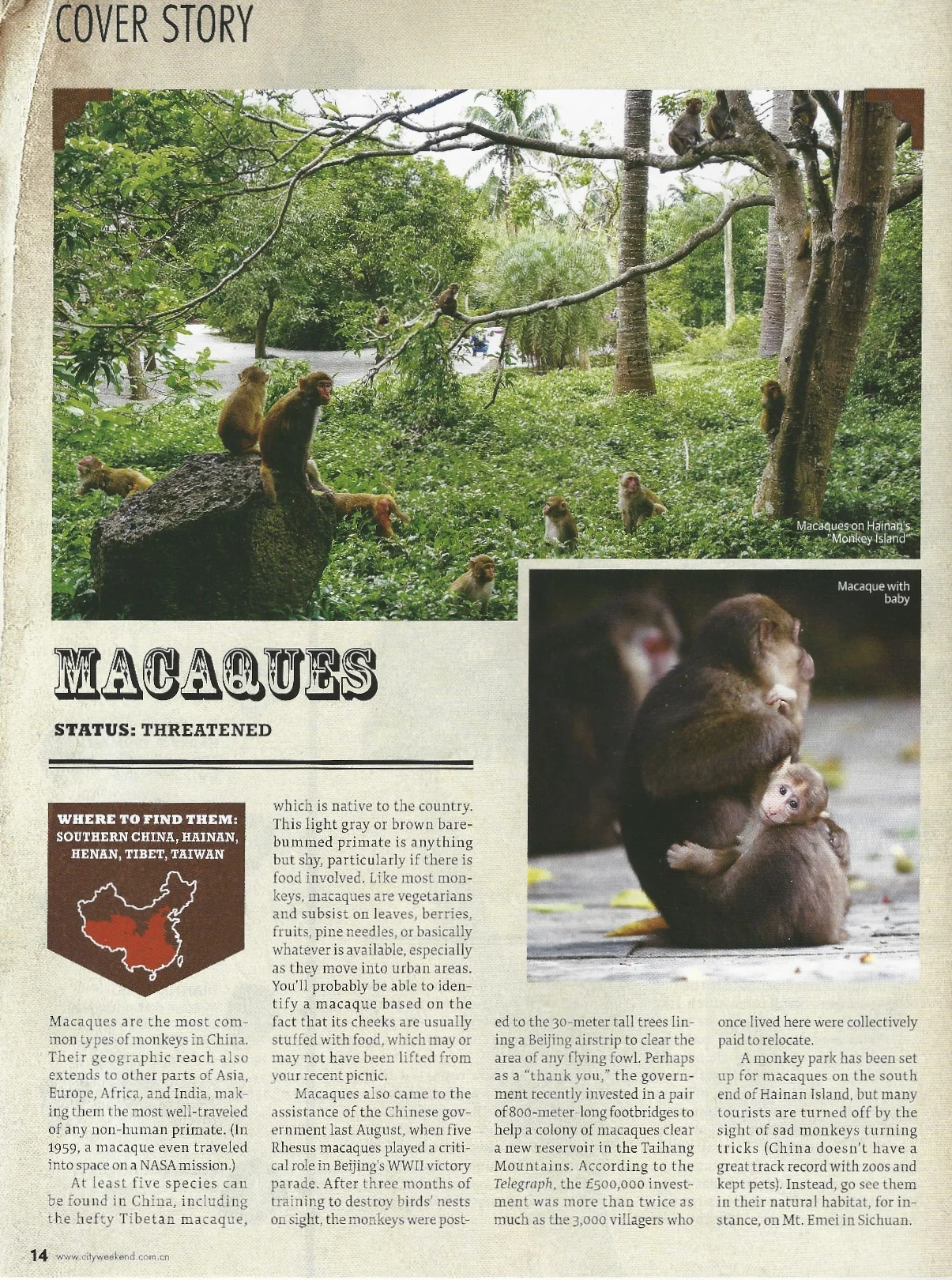 scan0089.jpg