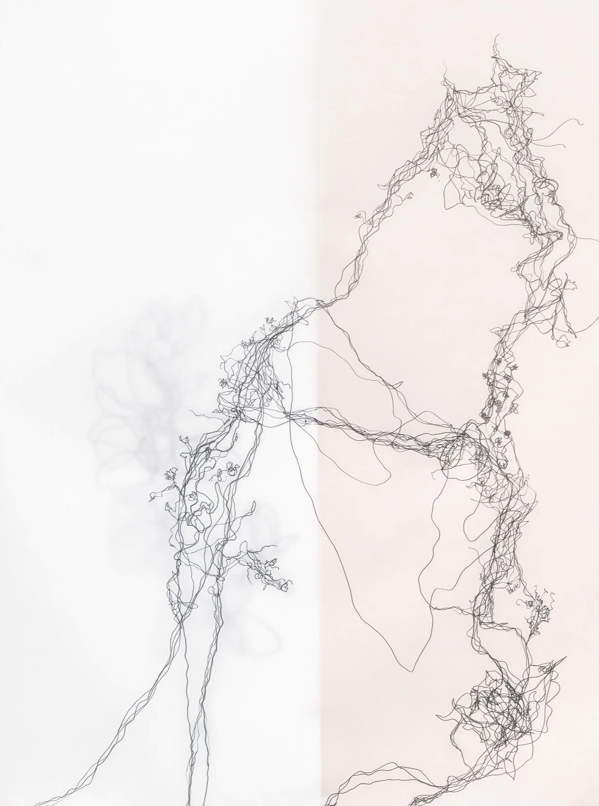 005_web.png
