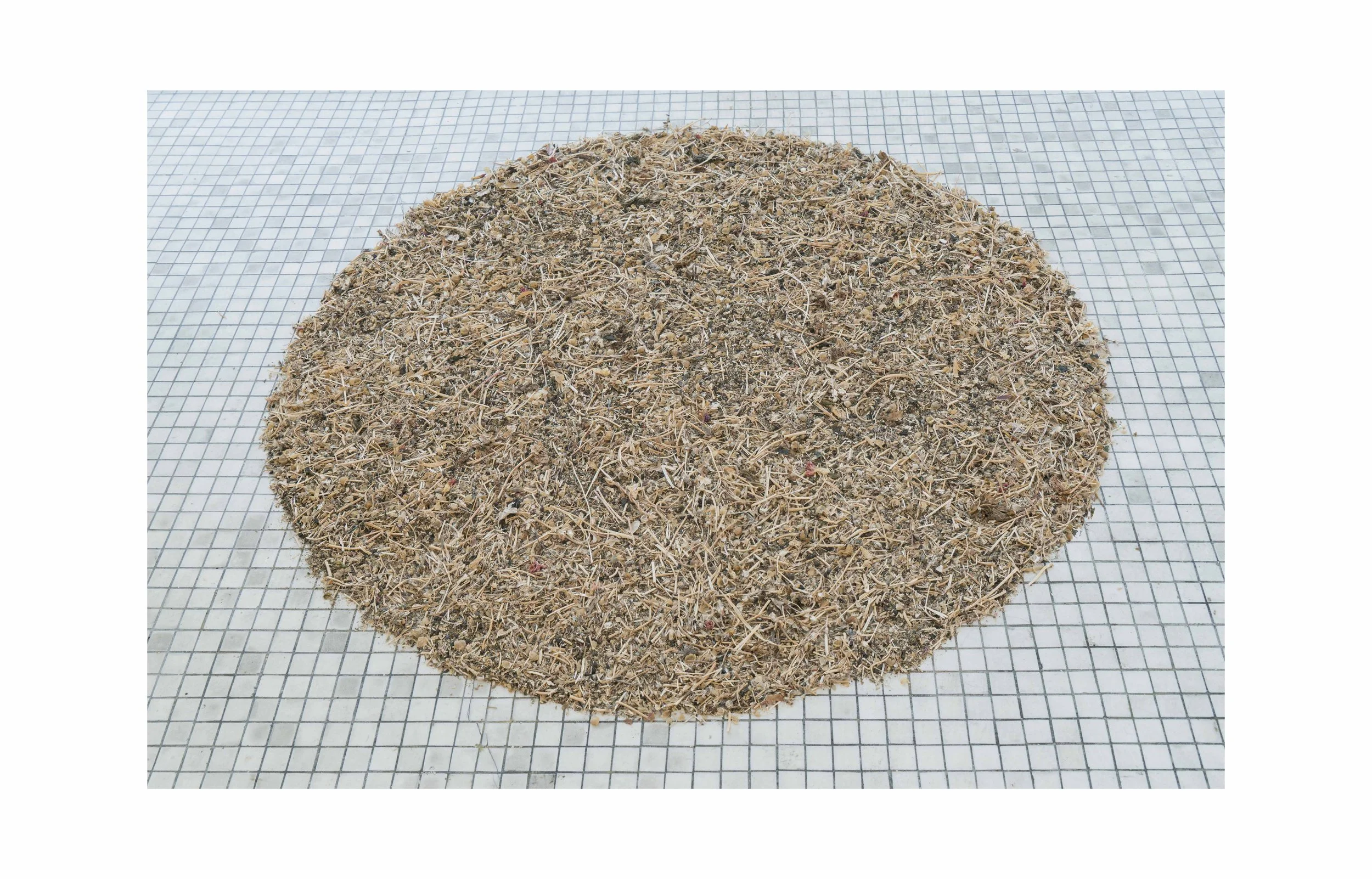 039_high-res-Edited-FOR WEBSITE.jpg