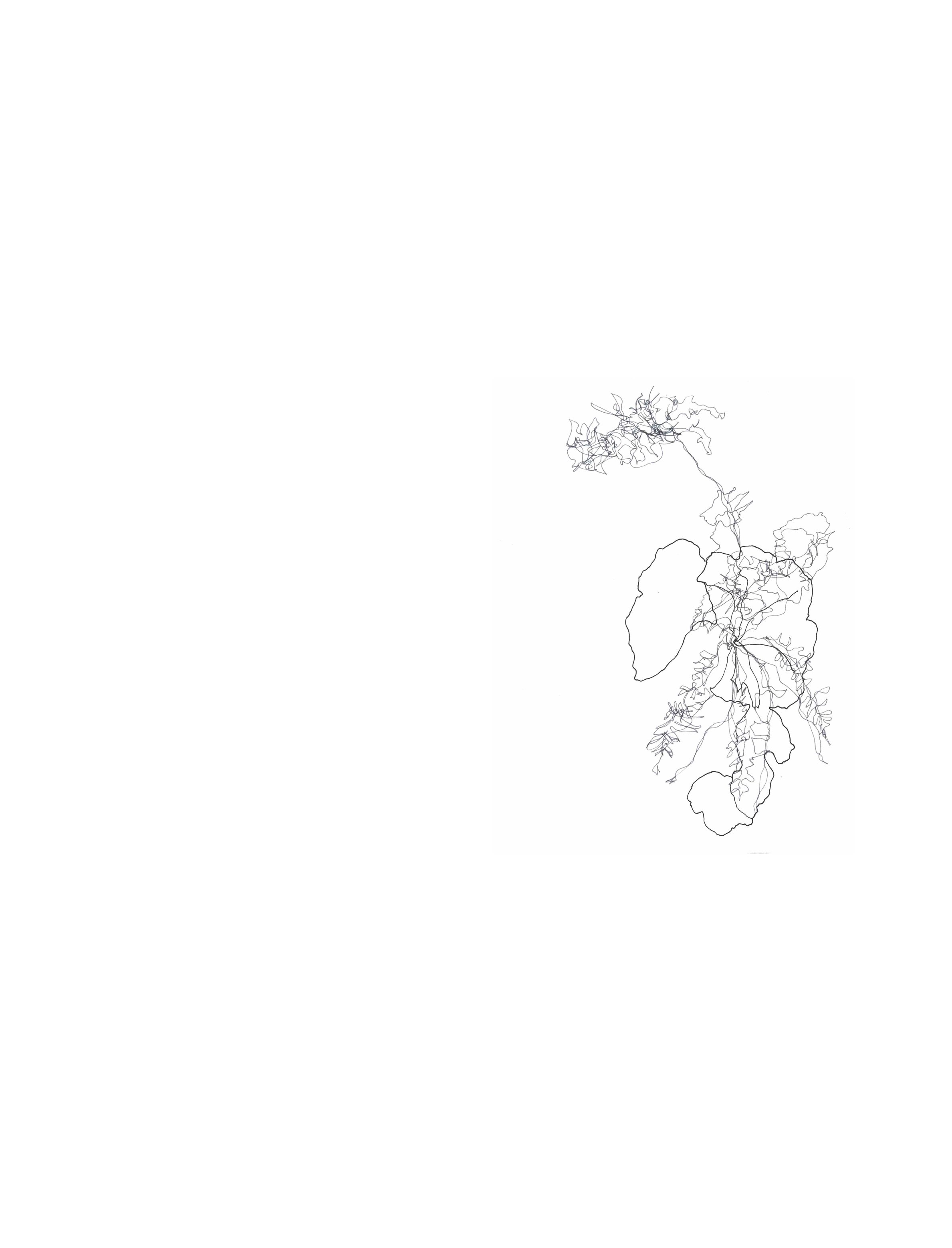 9 EDITED FOR WEBSITE COVER.jpg