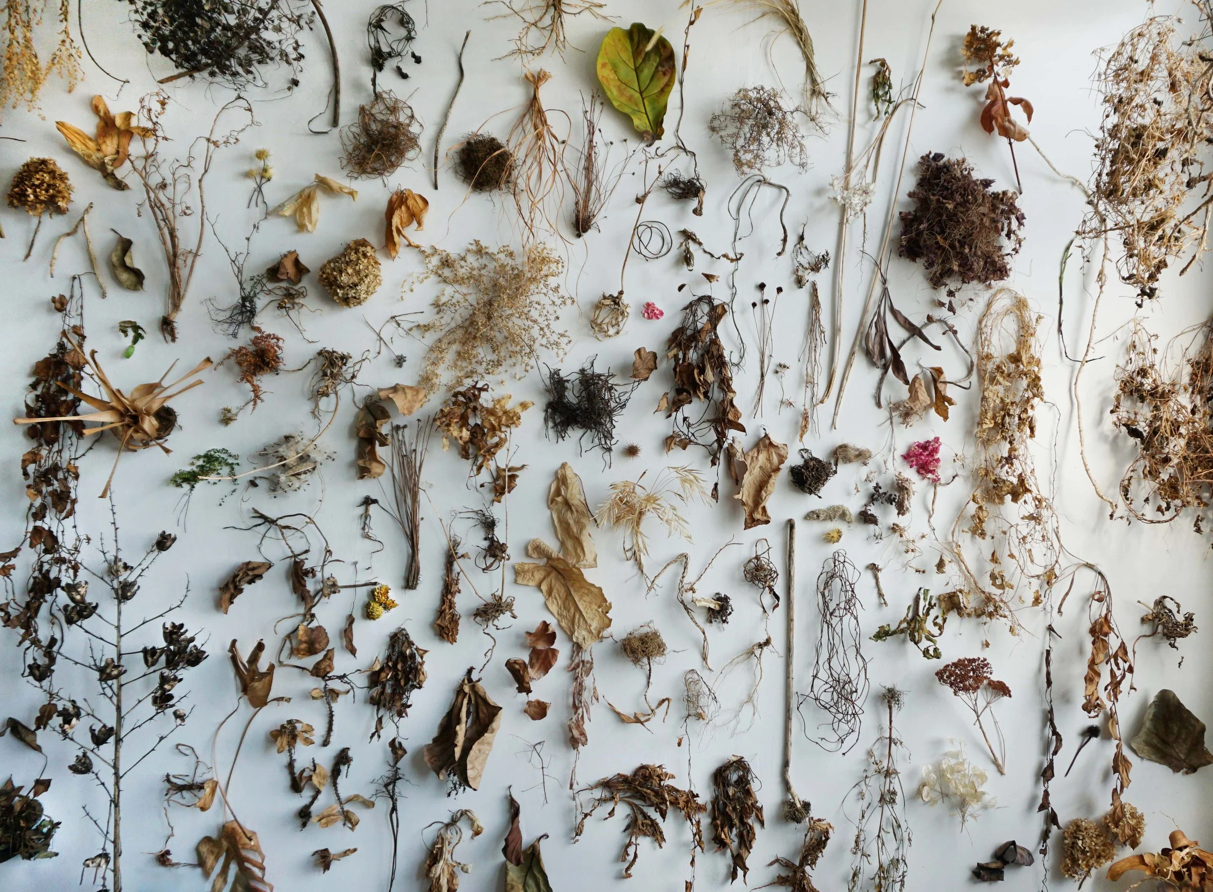 DSC04186 EDITE_For Website.jpg