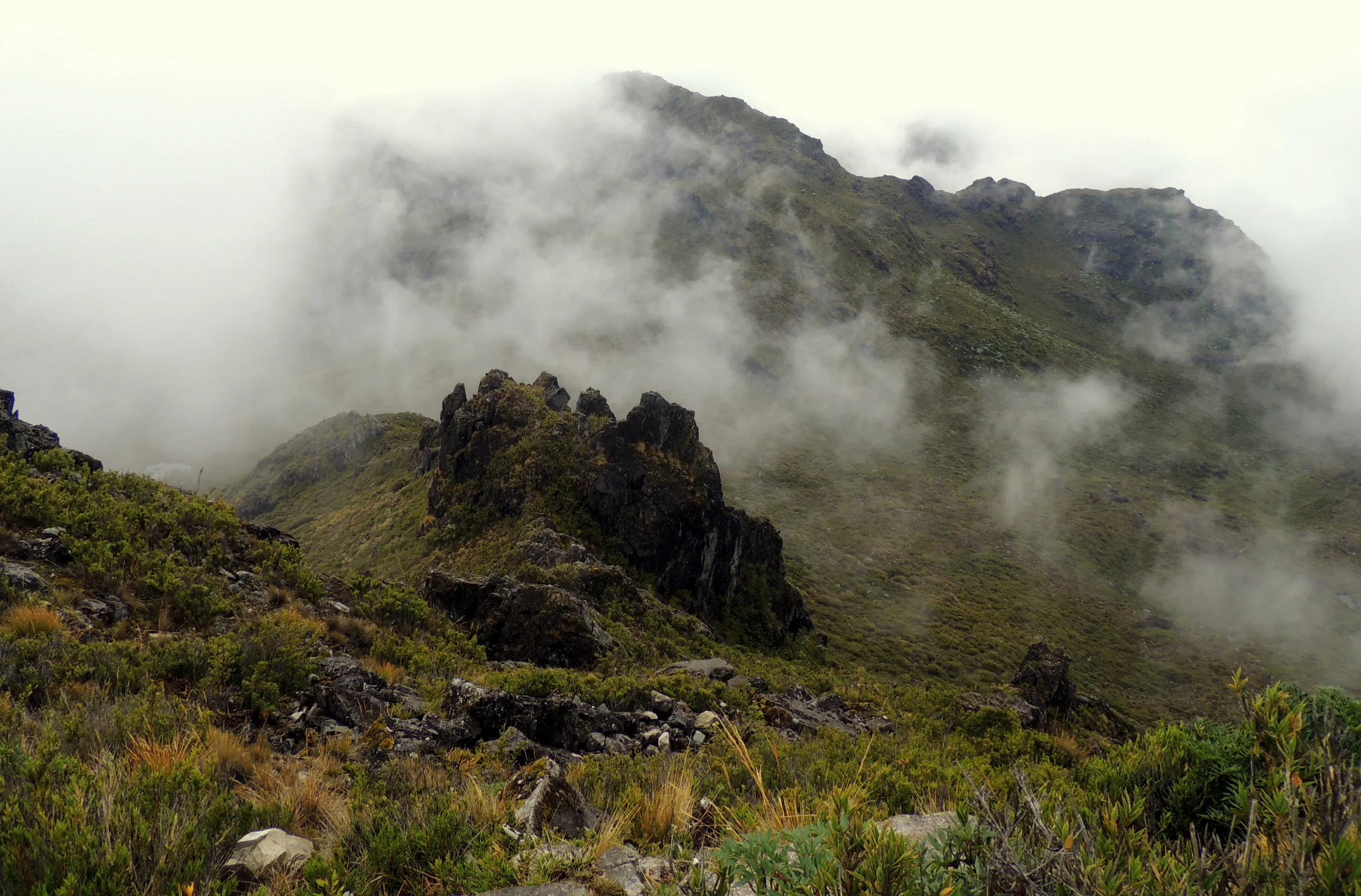 The mists of El Uran, where we found and collected many felid scats (before the rain hit!).