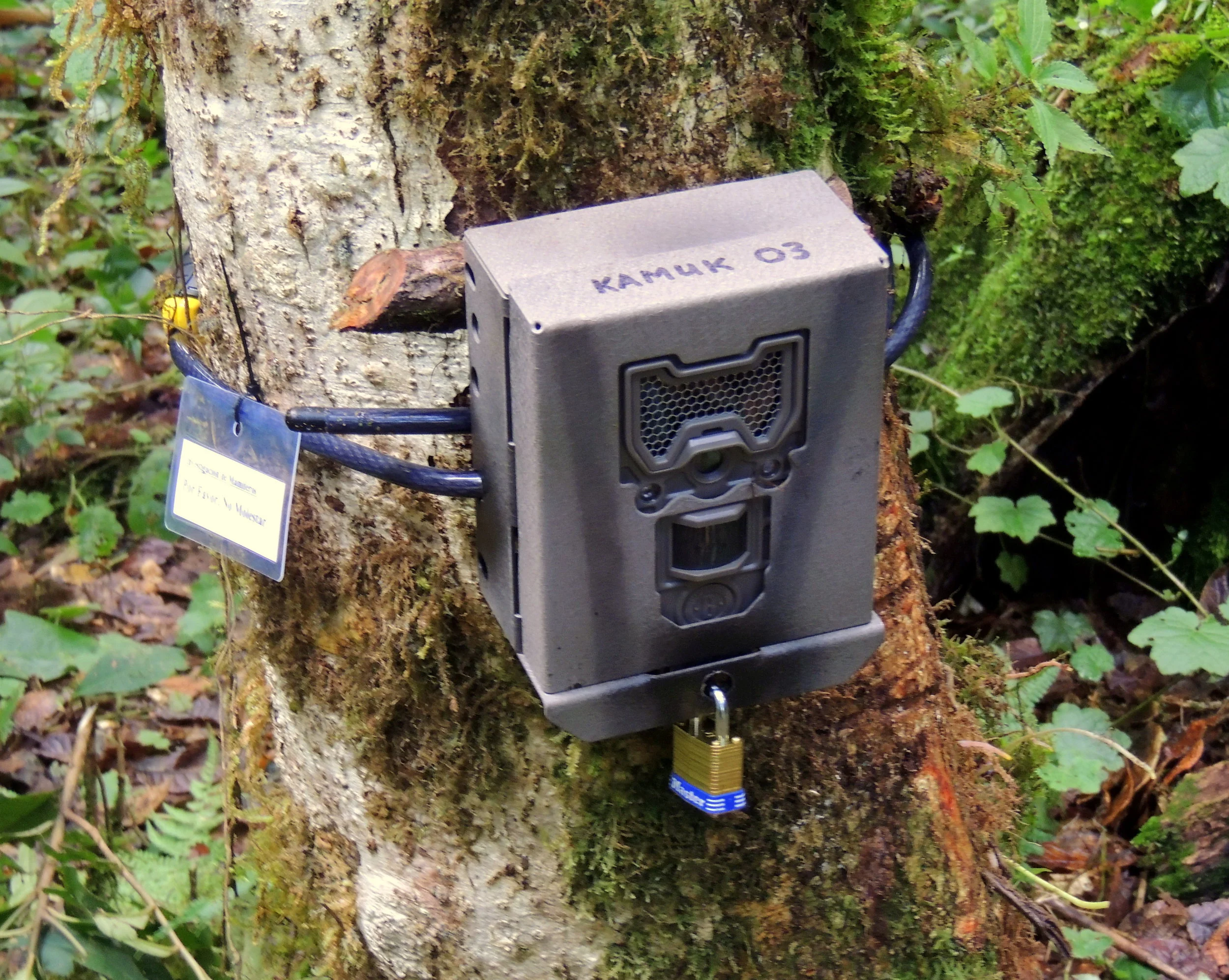One of the 10 camera stations deployed on the Cerro Kamuk trek.