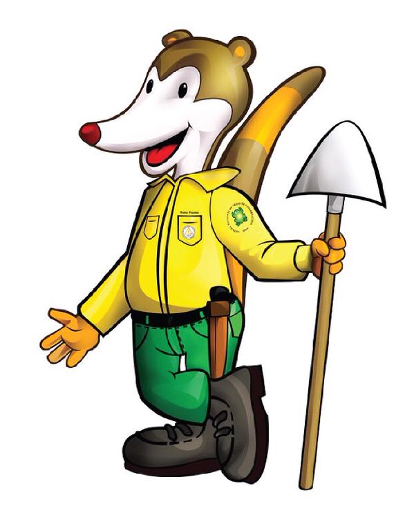 Tono Pizote (Nasua narica)