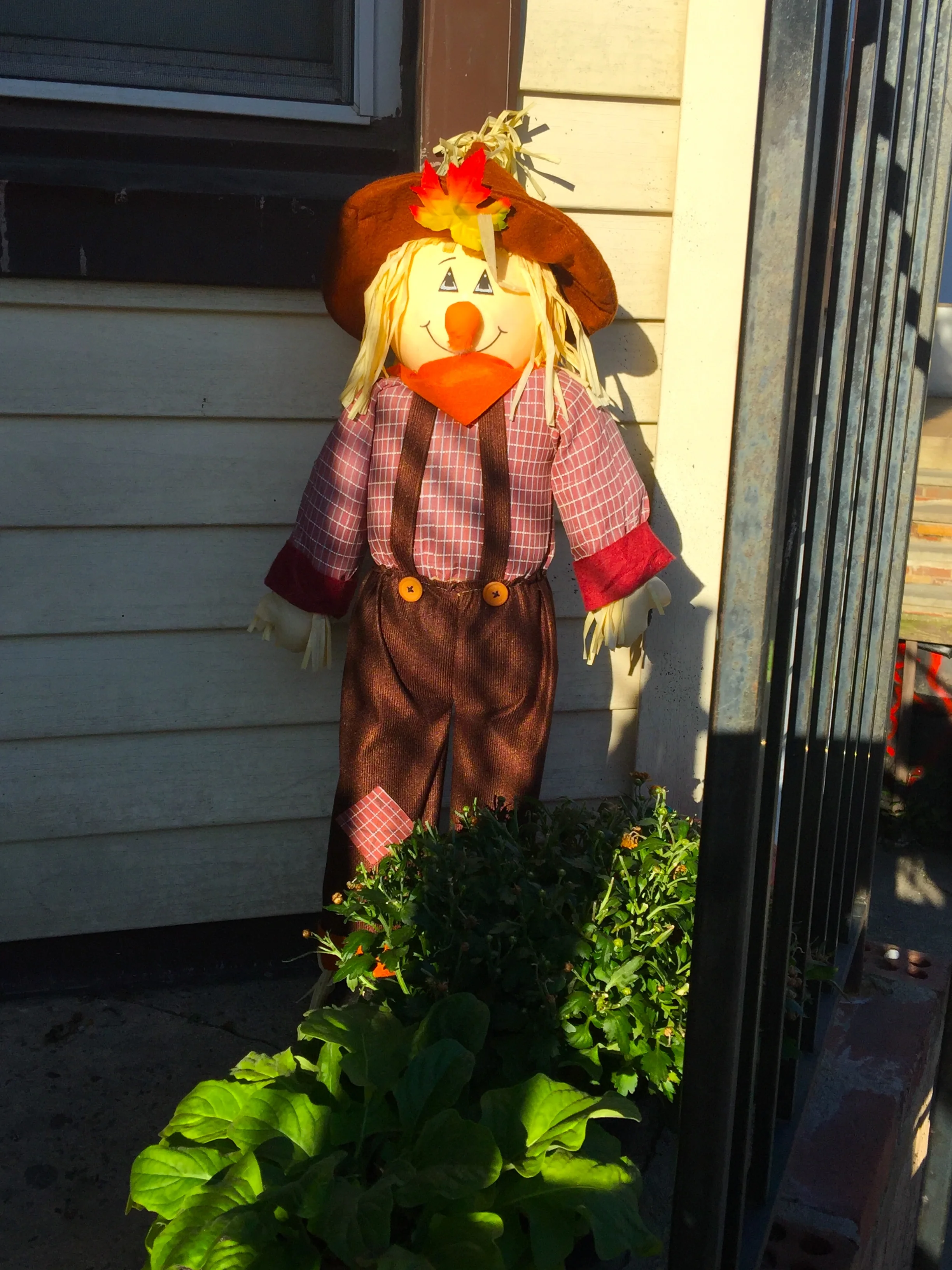 "Hello! See Me Here?" 「你好！看見我沒？」