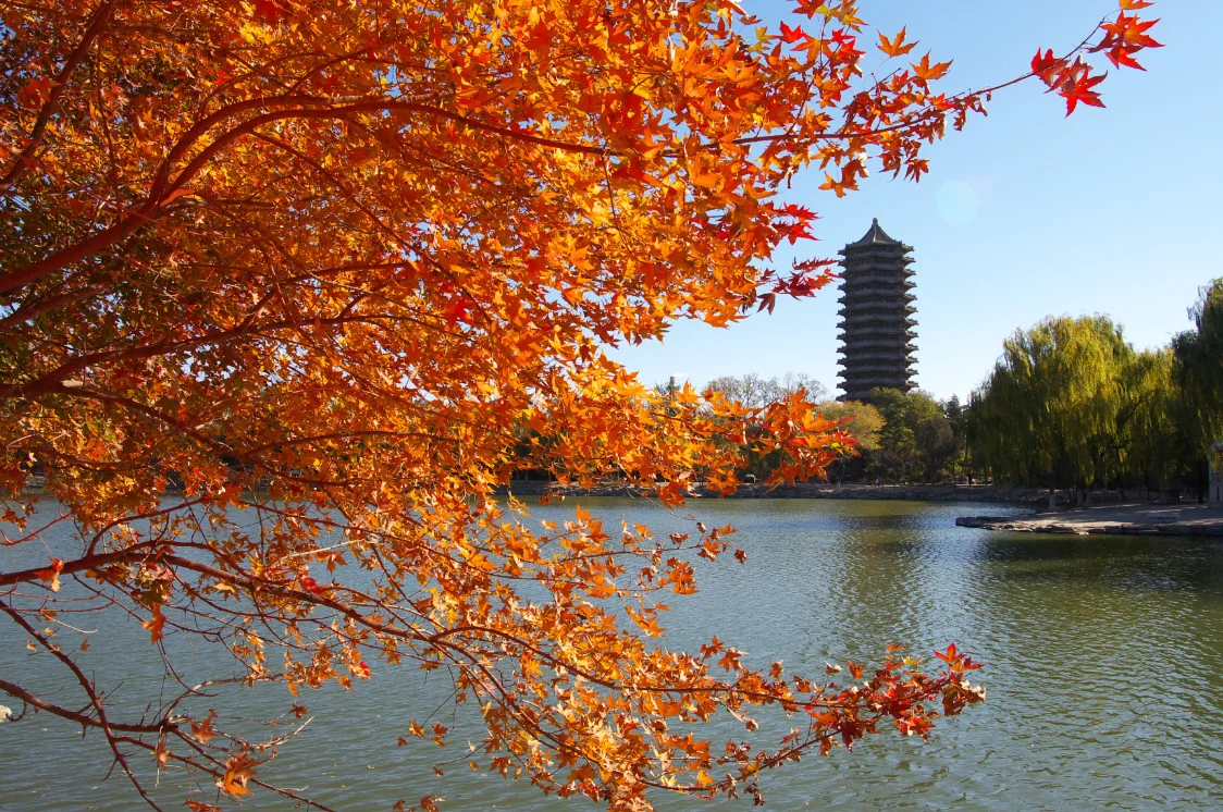 海外北大學子告同胞書