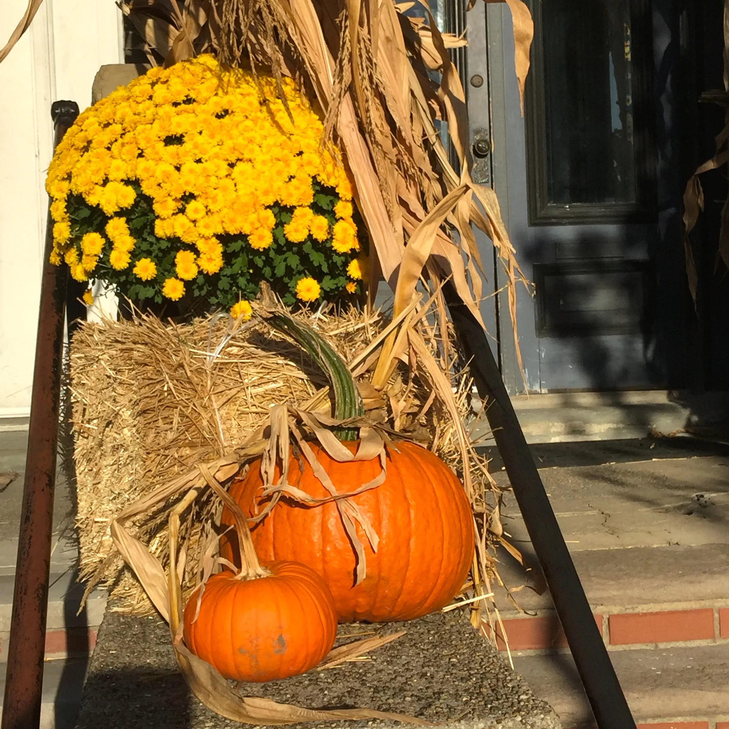 Halloween is Coming 万聖夜要到了