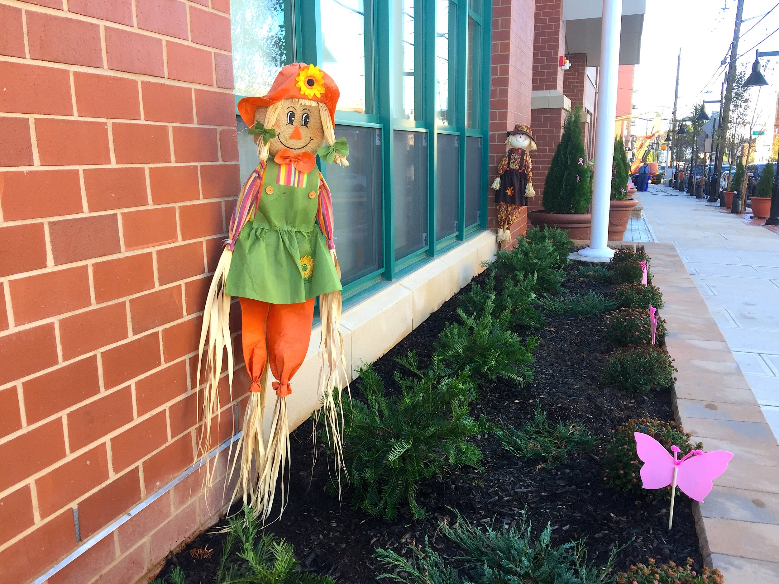 Halloween at a Primary School 學校外的萬聖節