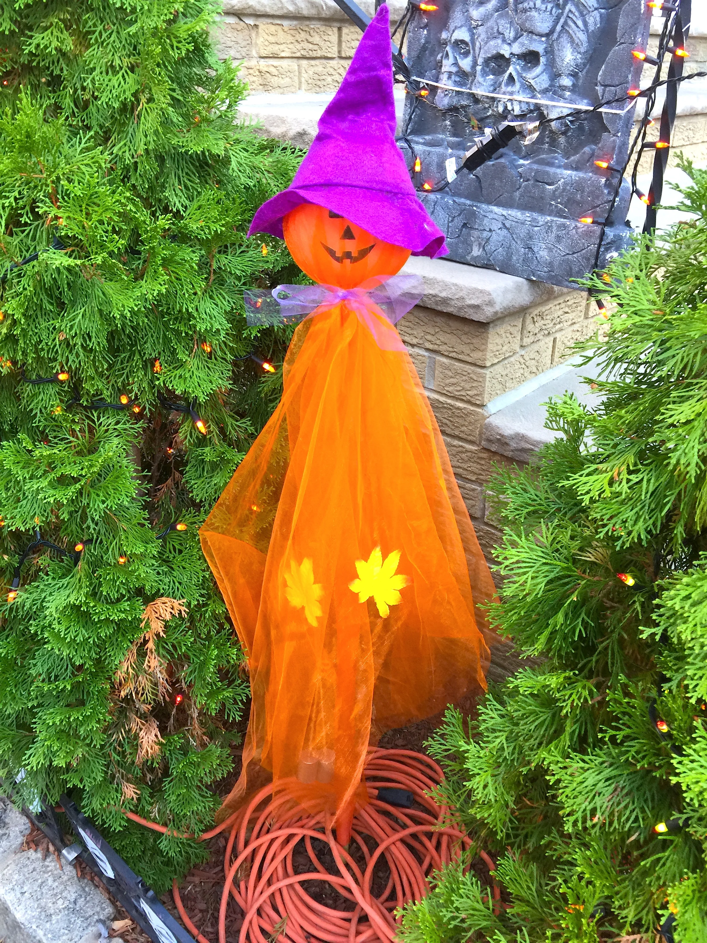 Halloween is Coming 万聖夜要到了