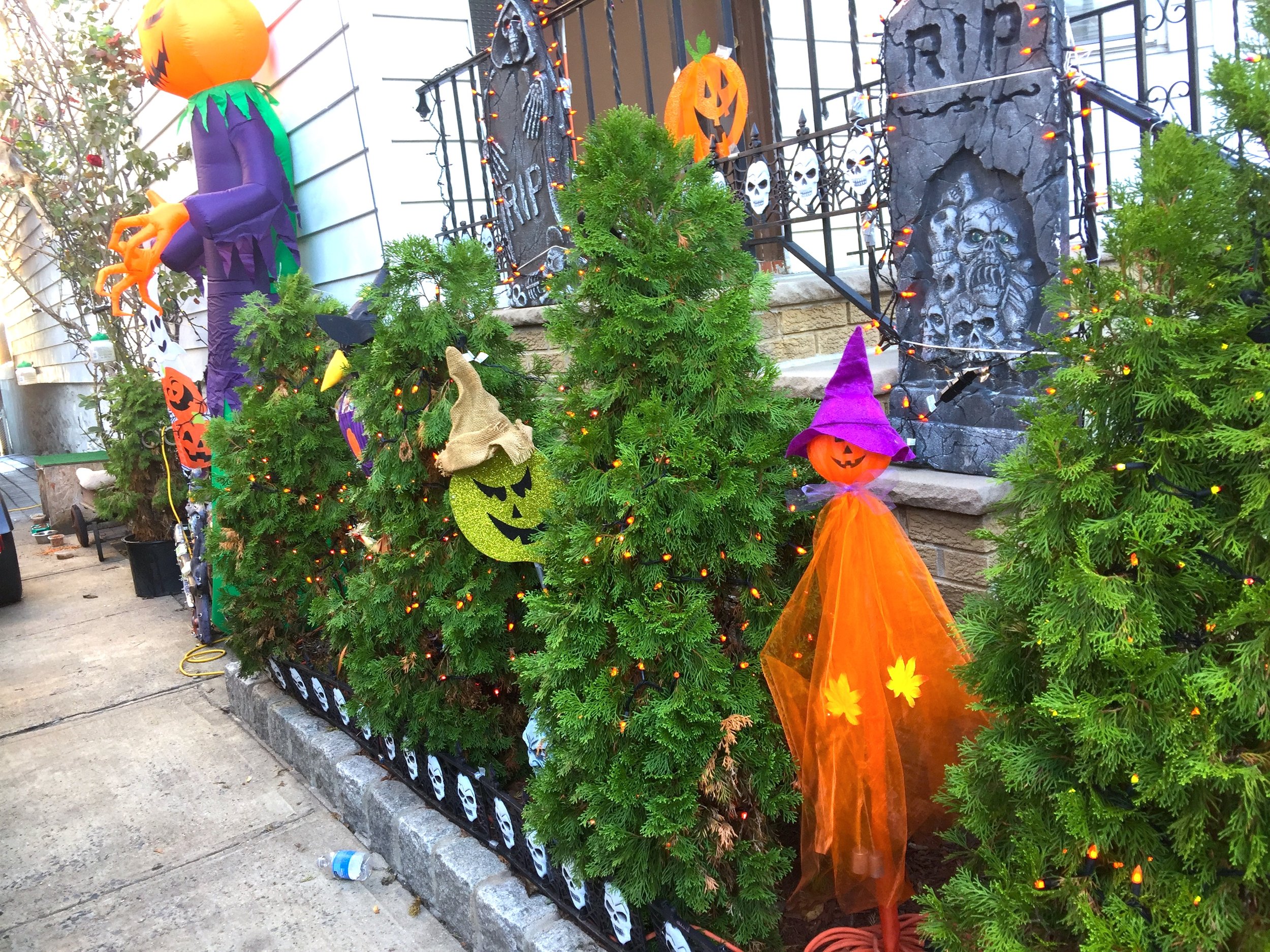 Halloween in the Garden 万聖節花園