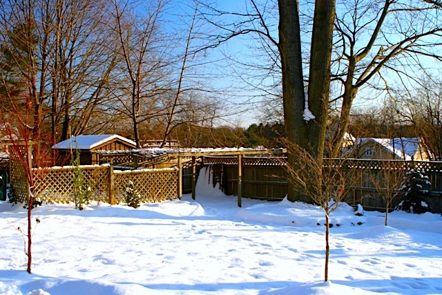 A Sunny Day after Snow 雪後天睛