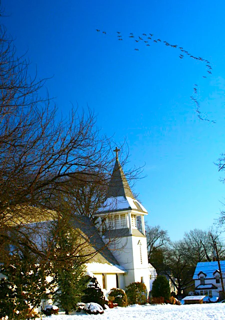 Flying to the South 久遠的記憶