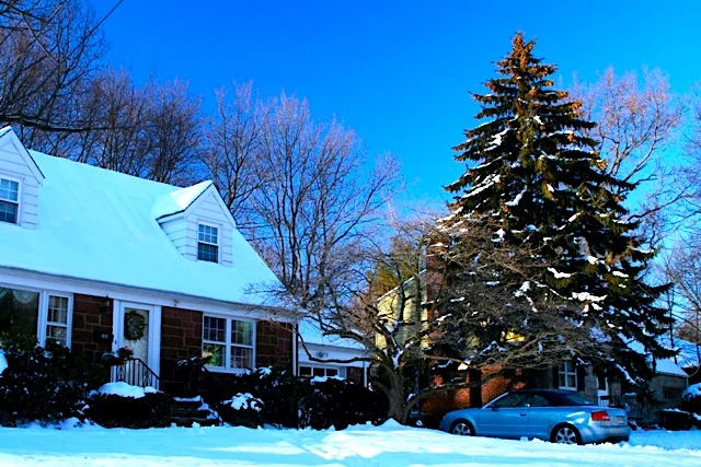 A Lovely World in  Snow 雪後