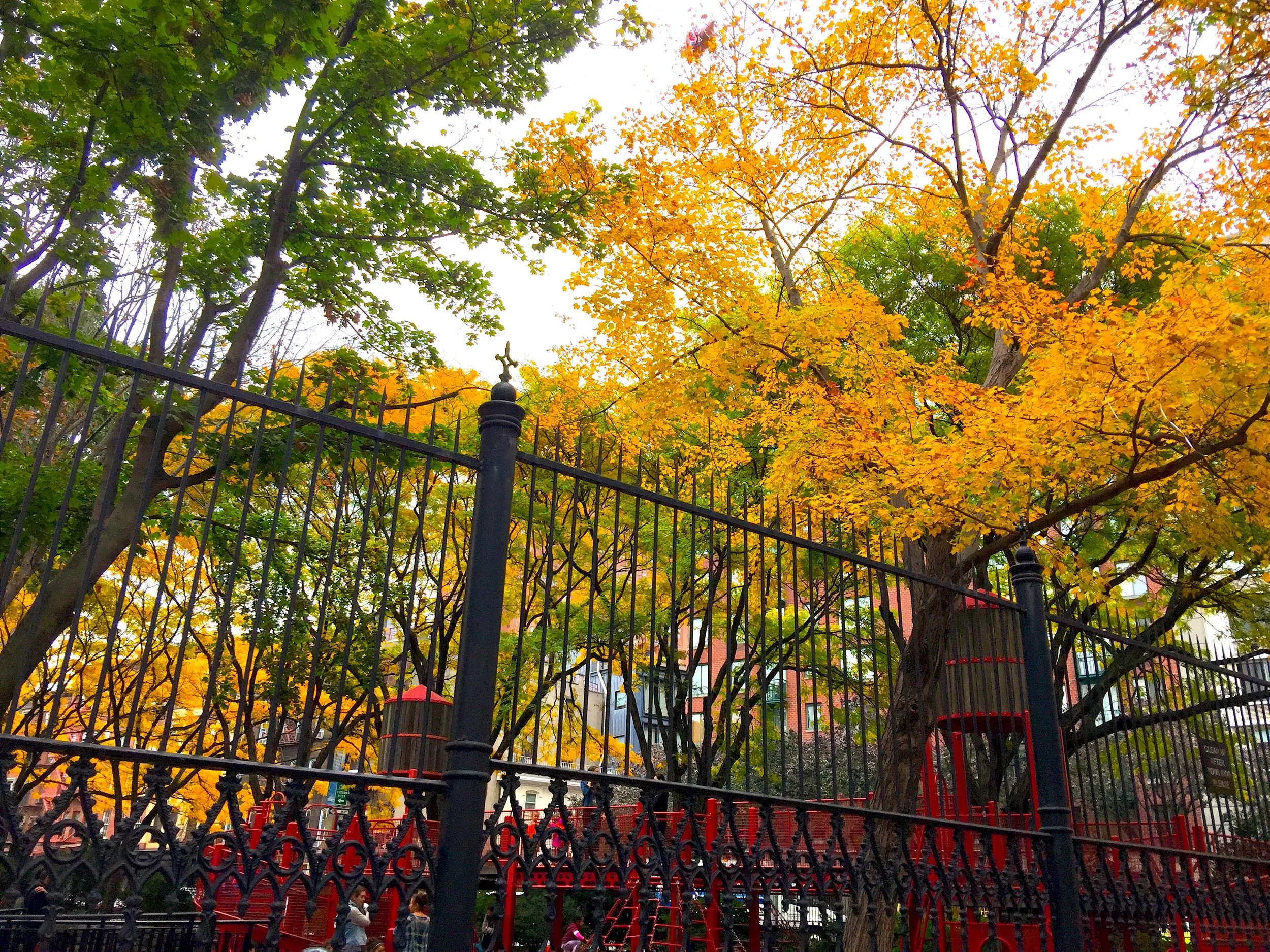 Autumn at the Playground 遊樂園的秋日