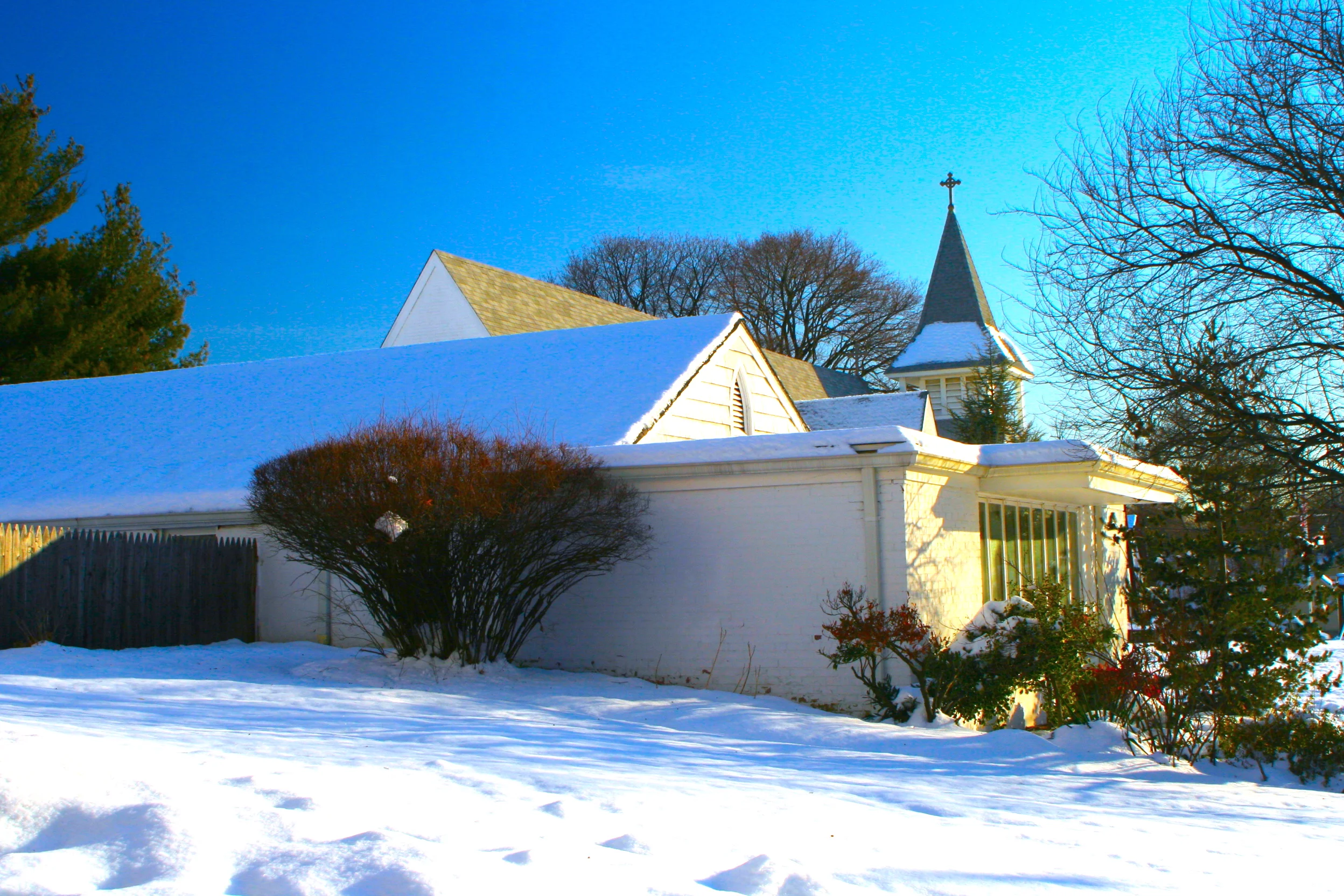 A Clean World 清淨世界