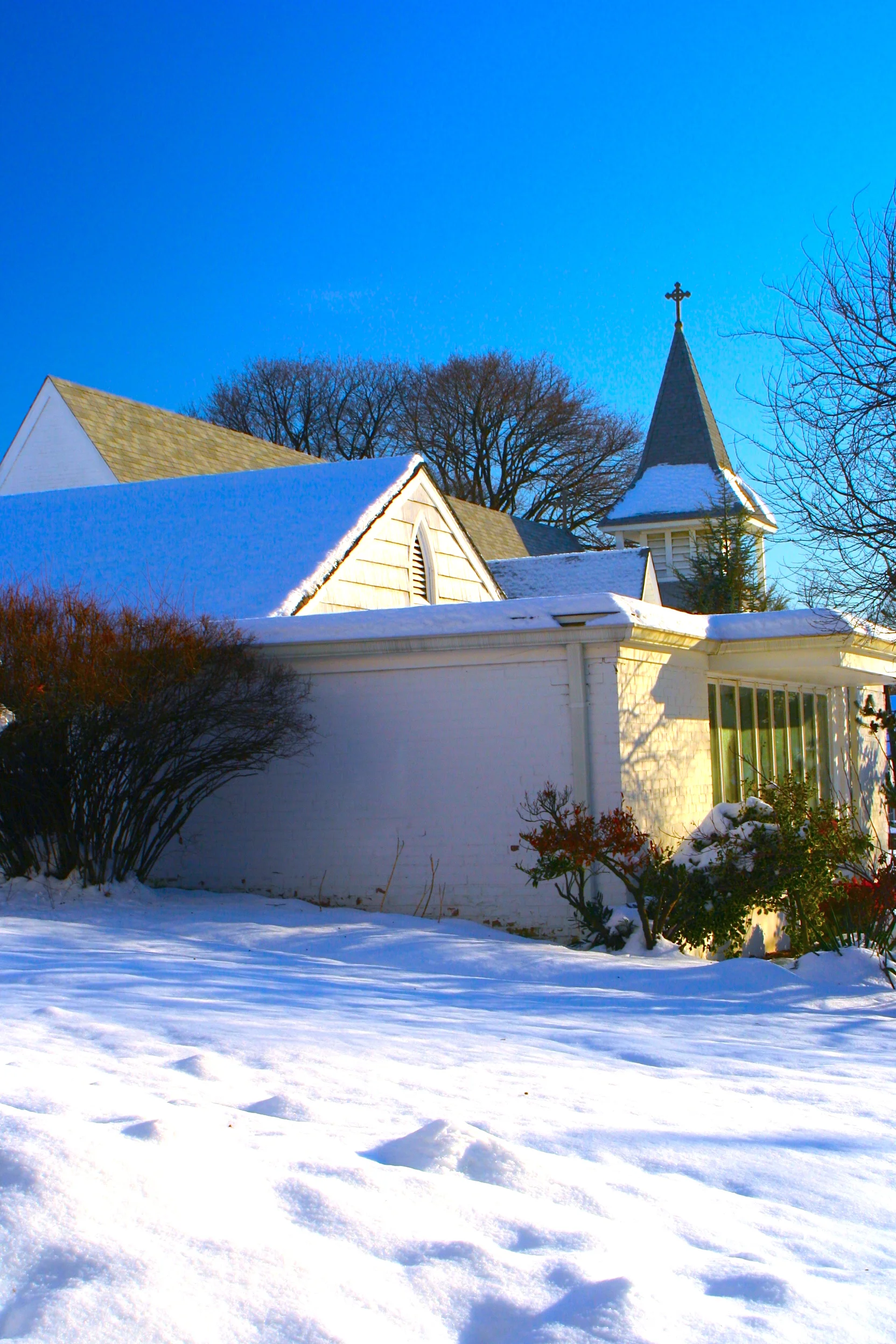 A Clean World 清淨世界