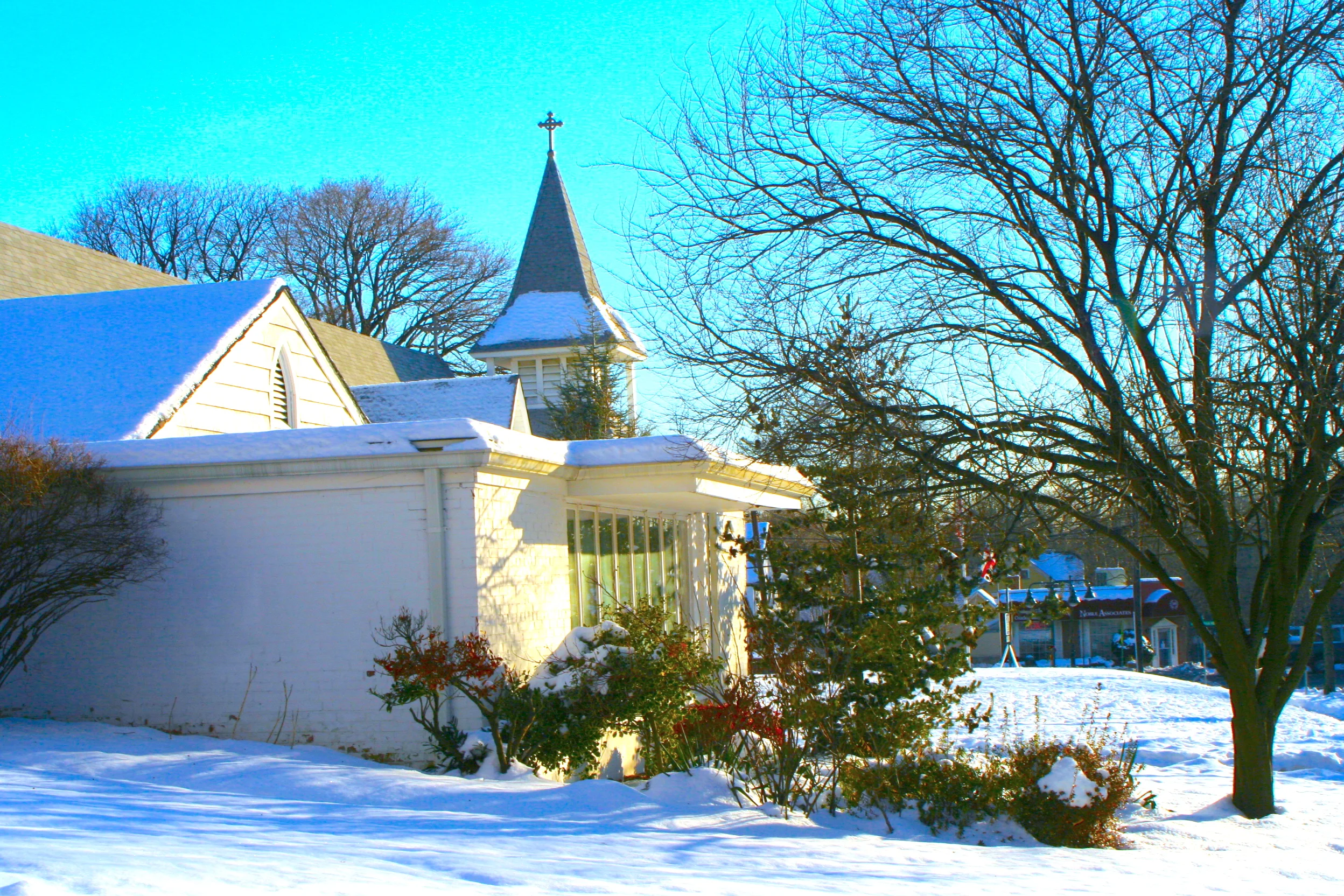 A Clean World 清淨世界