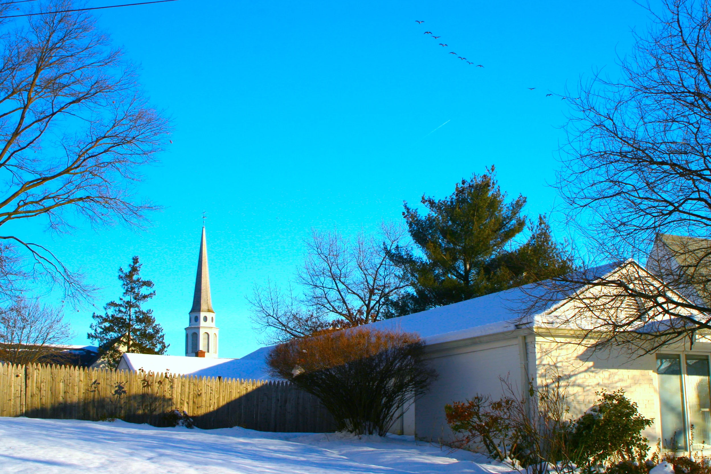 A Memory from Long Long Ago 久遠的記憶