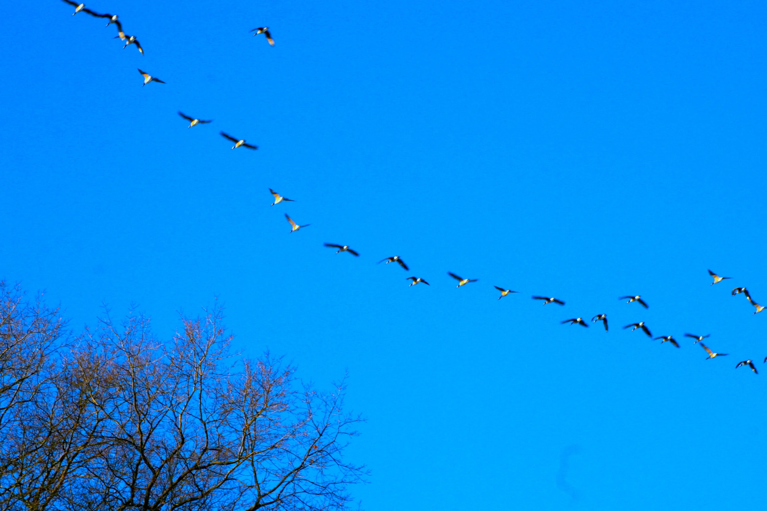 A Memory from Long, Long Ago「舊時相識」