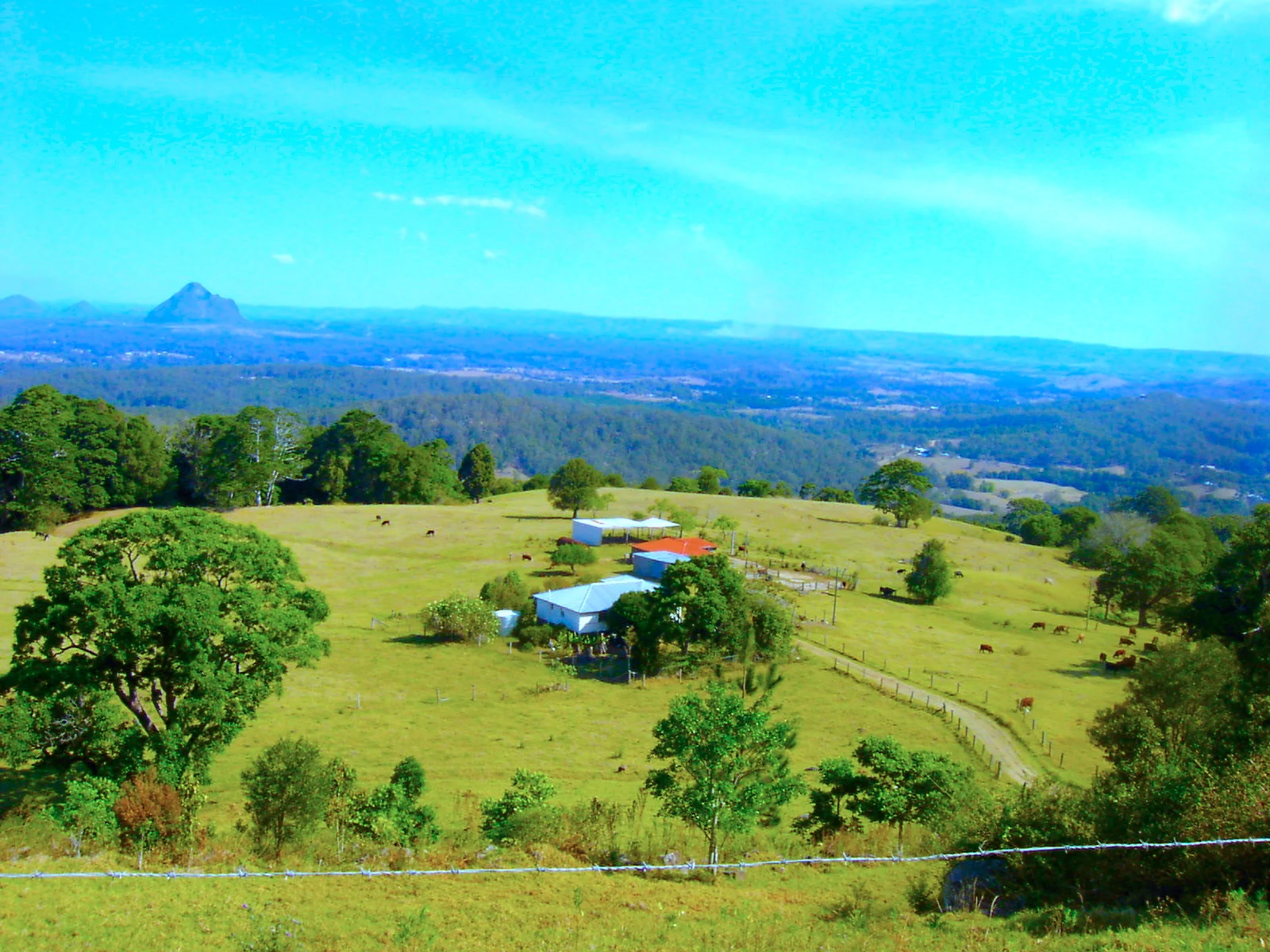 A Wide Shot of Sunshine Coast, Australia 極目