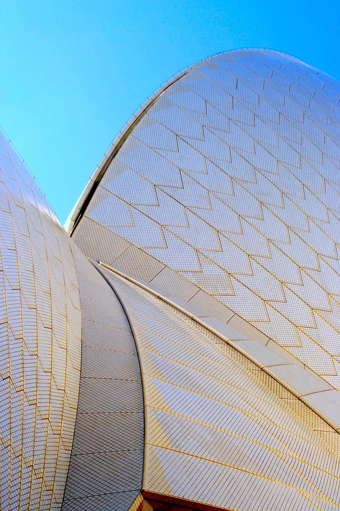 A Close Up of Sydney Opera House 貝之殼