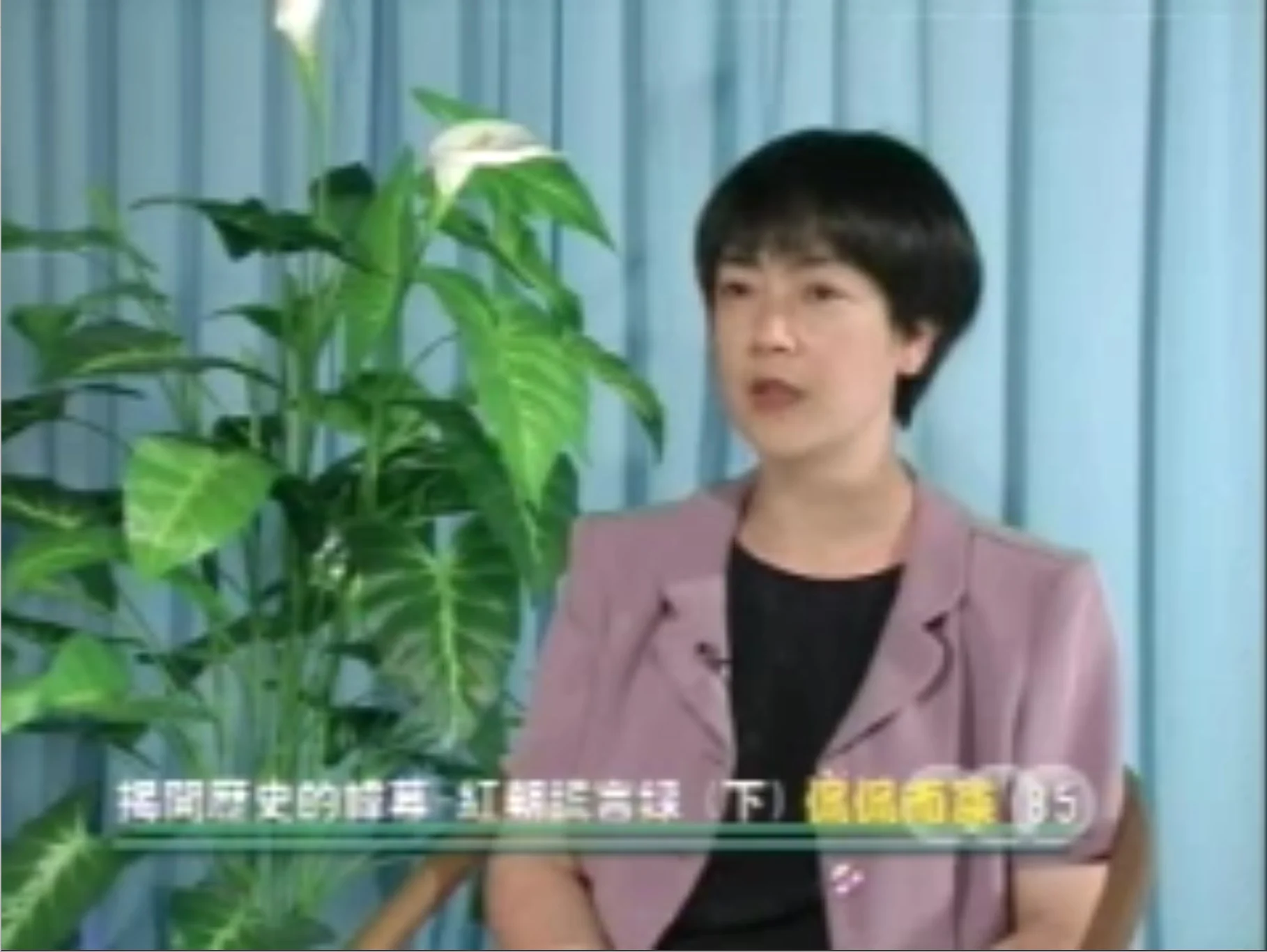 侃侃而談第85期: 揭開歷史的幃幕-紅朝謊言錄 (下)