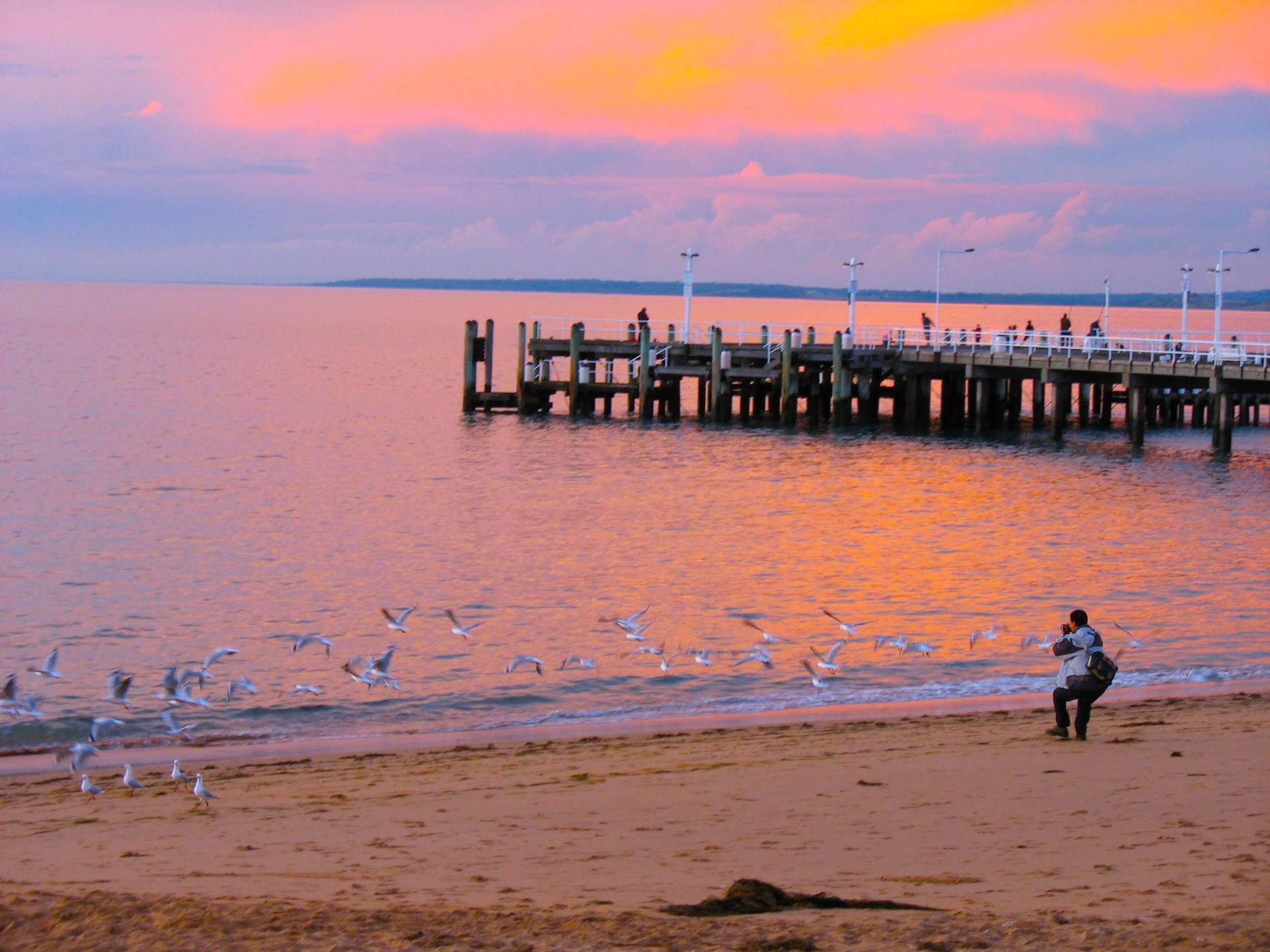 Catching the Moment 海邊時分
