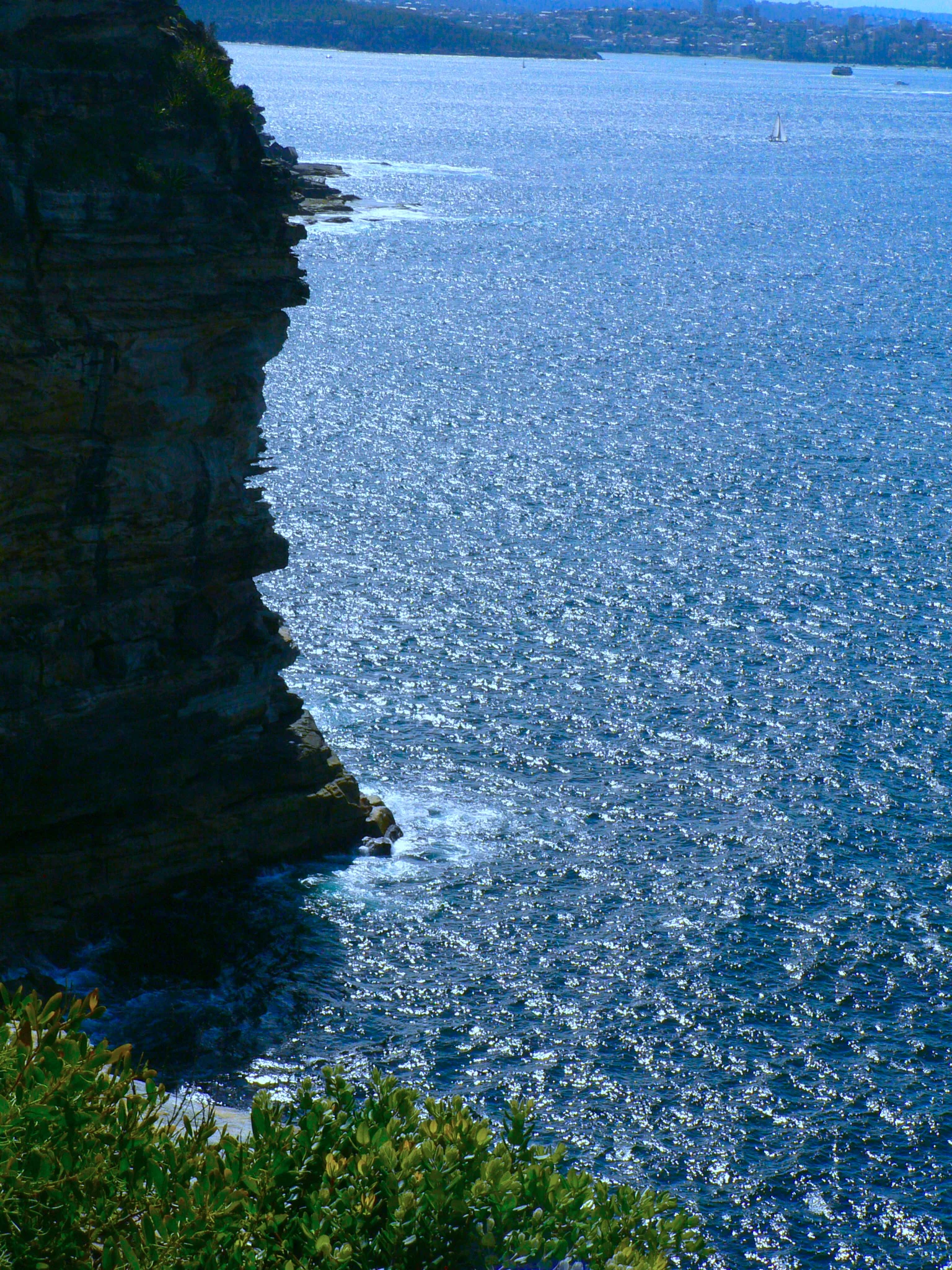Rock and Sea  崖與海