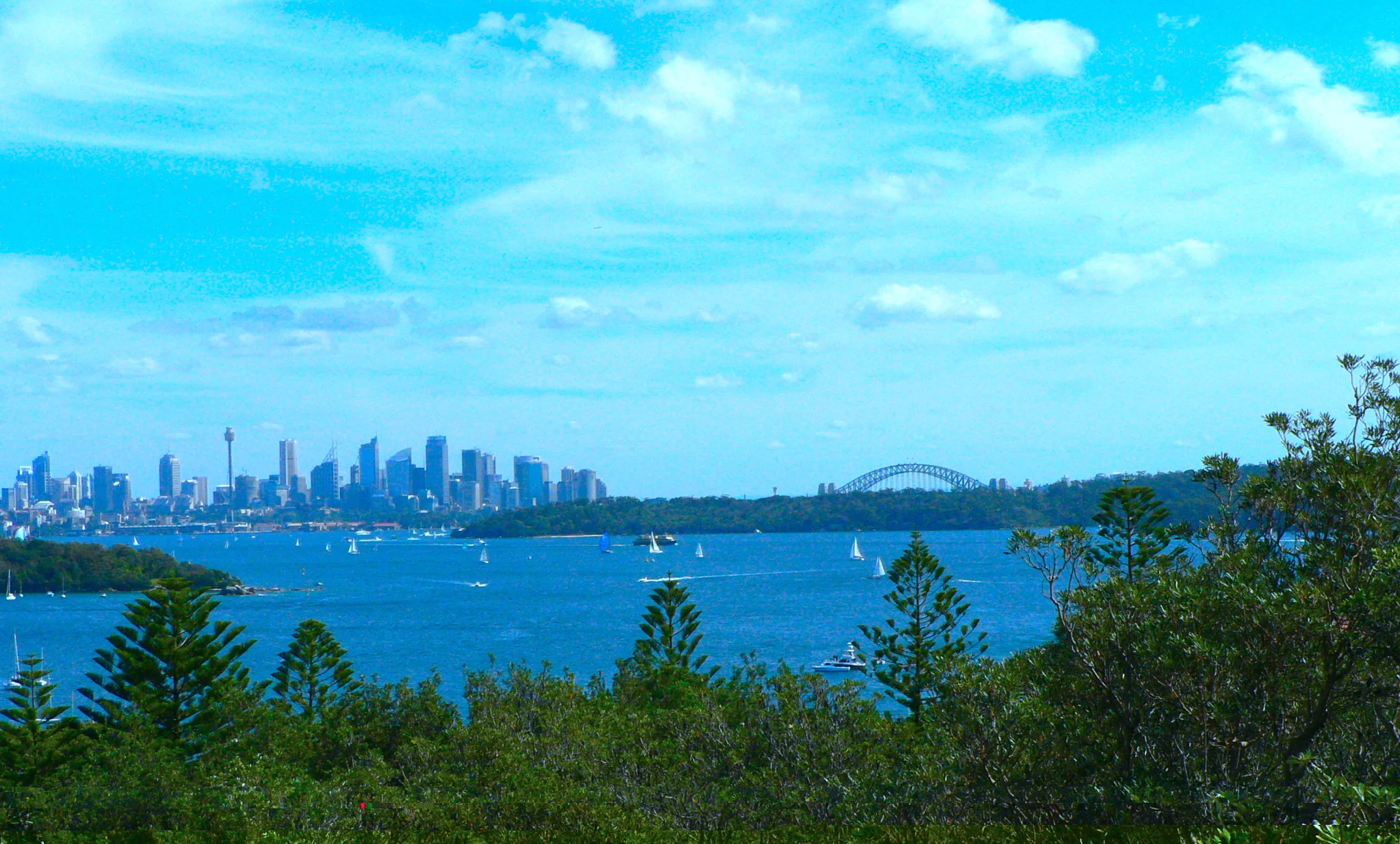 Sydney, My Sydney 遠望悉尼