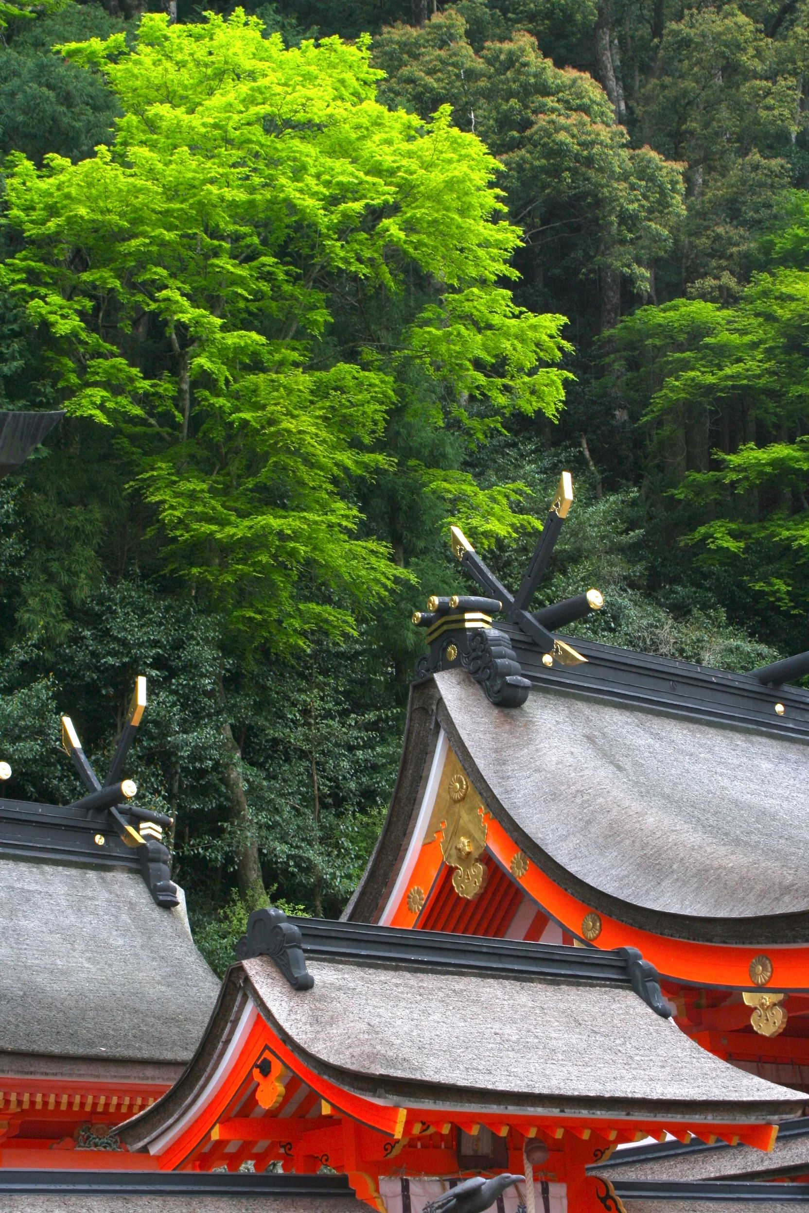 Exquisiteness 廟與山