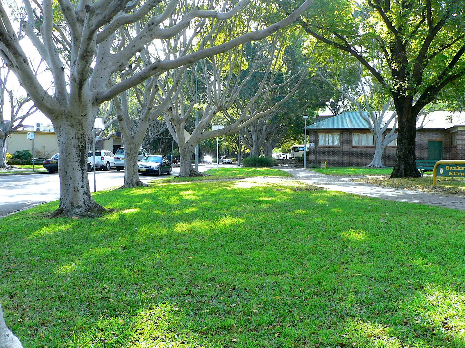  A Quiet Park at Bankstown in Sydney 公園小景