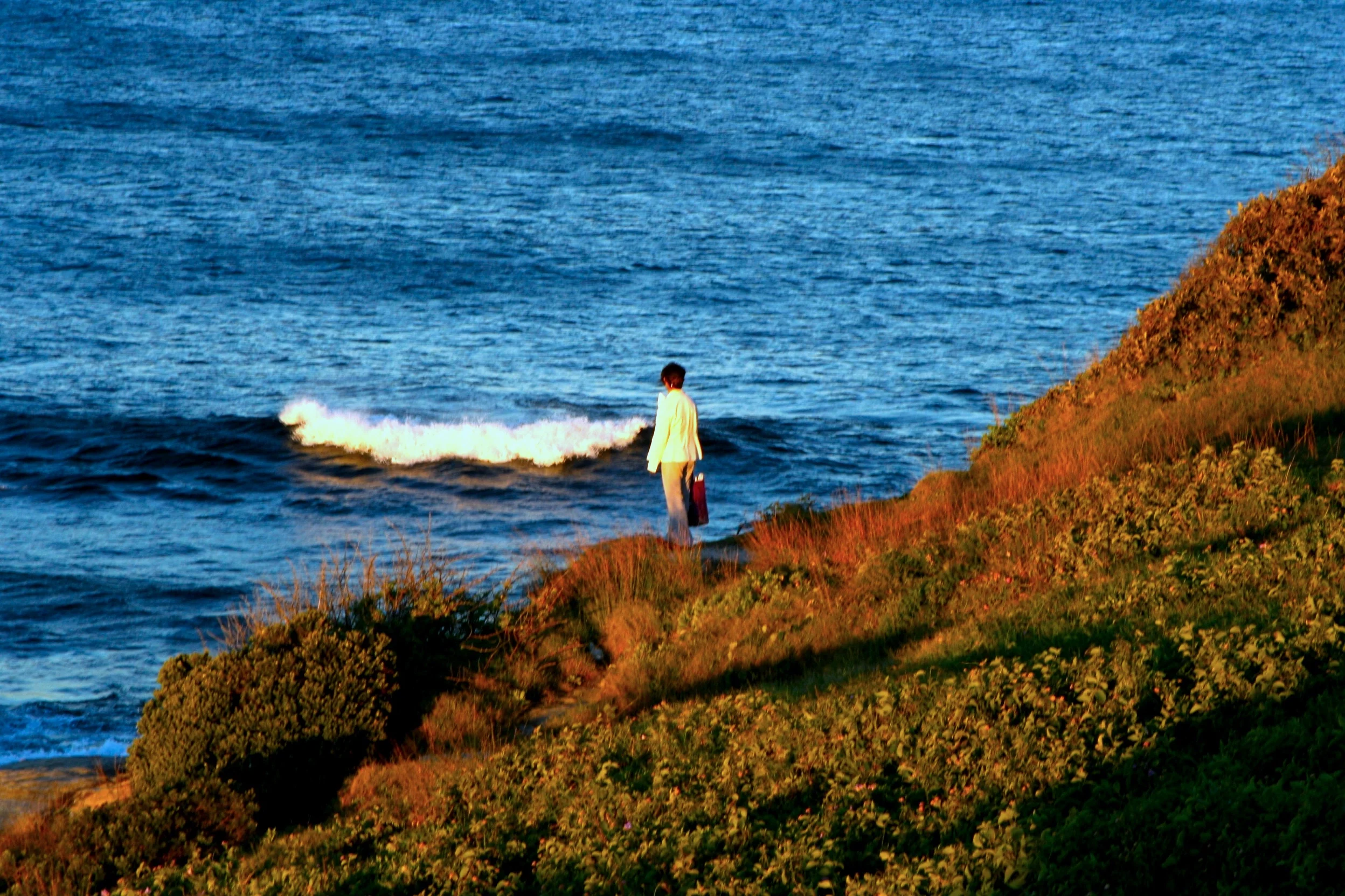 Pondering on Emotion (Qing) 關於情