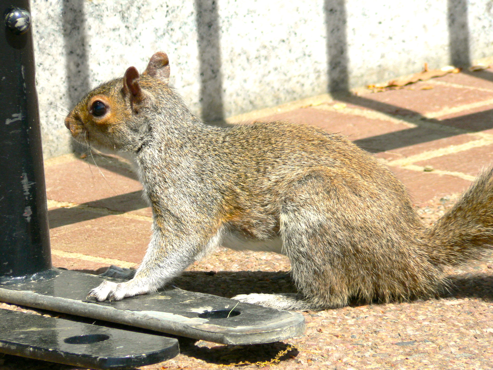 "What Are They Doing?" 「那些人在幹什麼？」