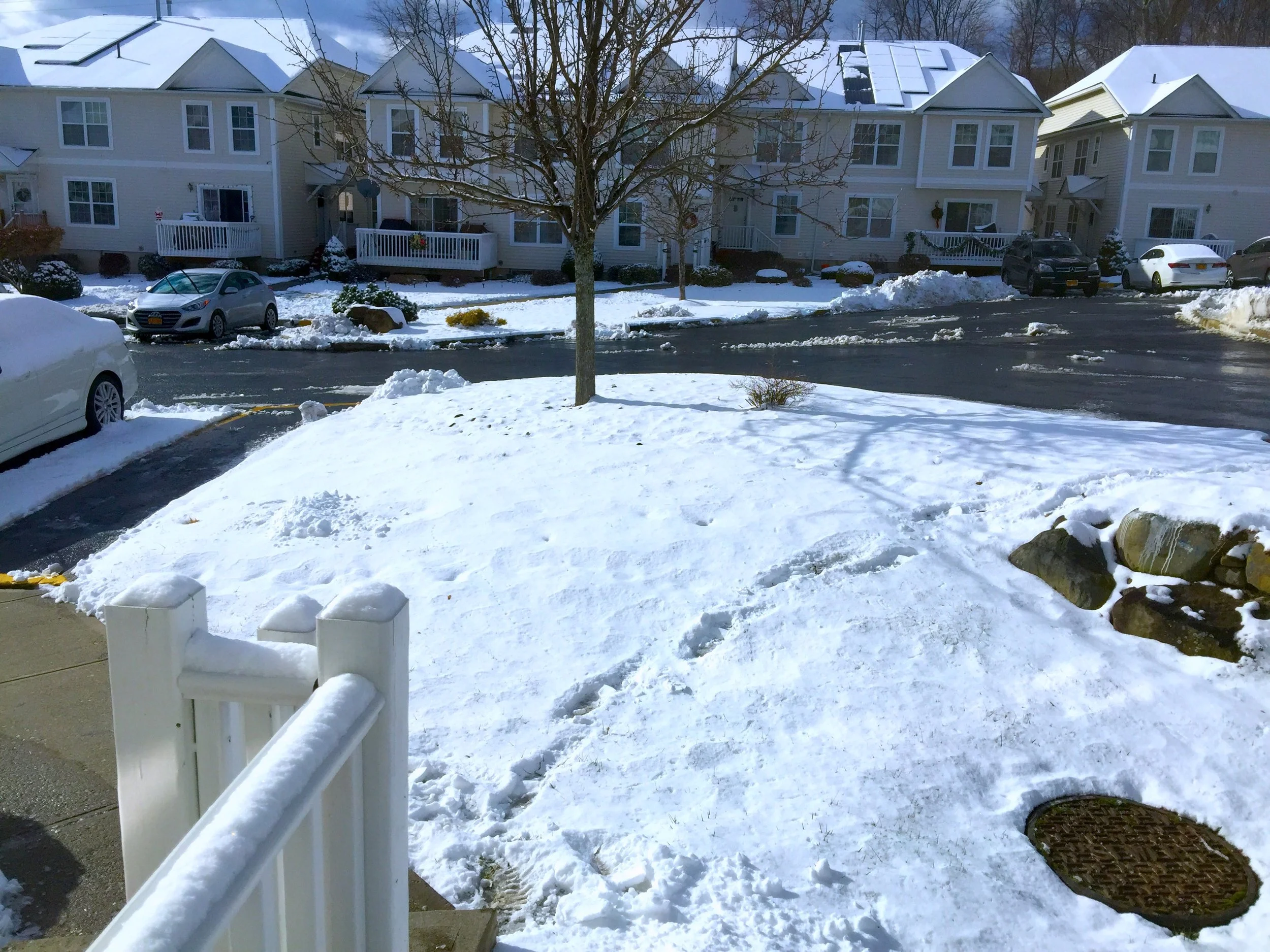 A White New Year 白色新年