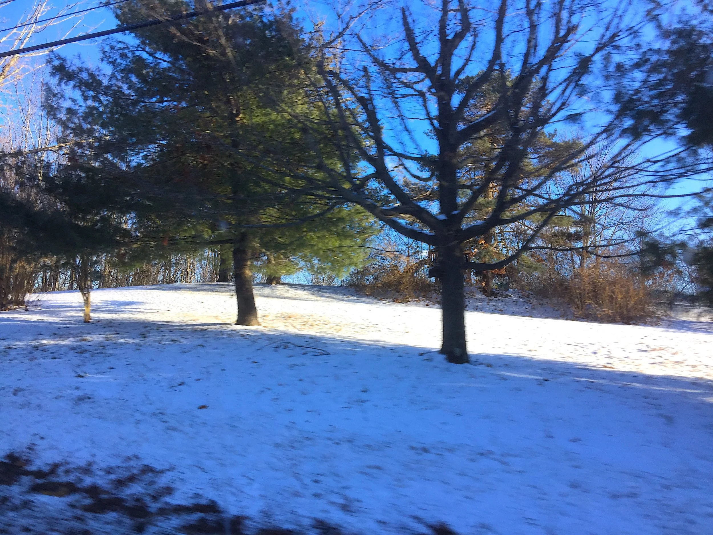 Into the Woods 雪野