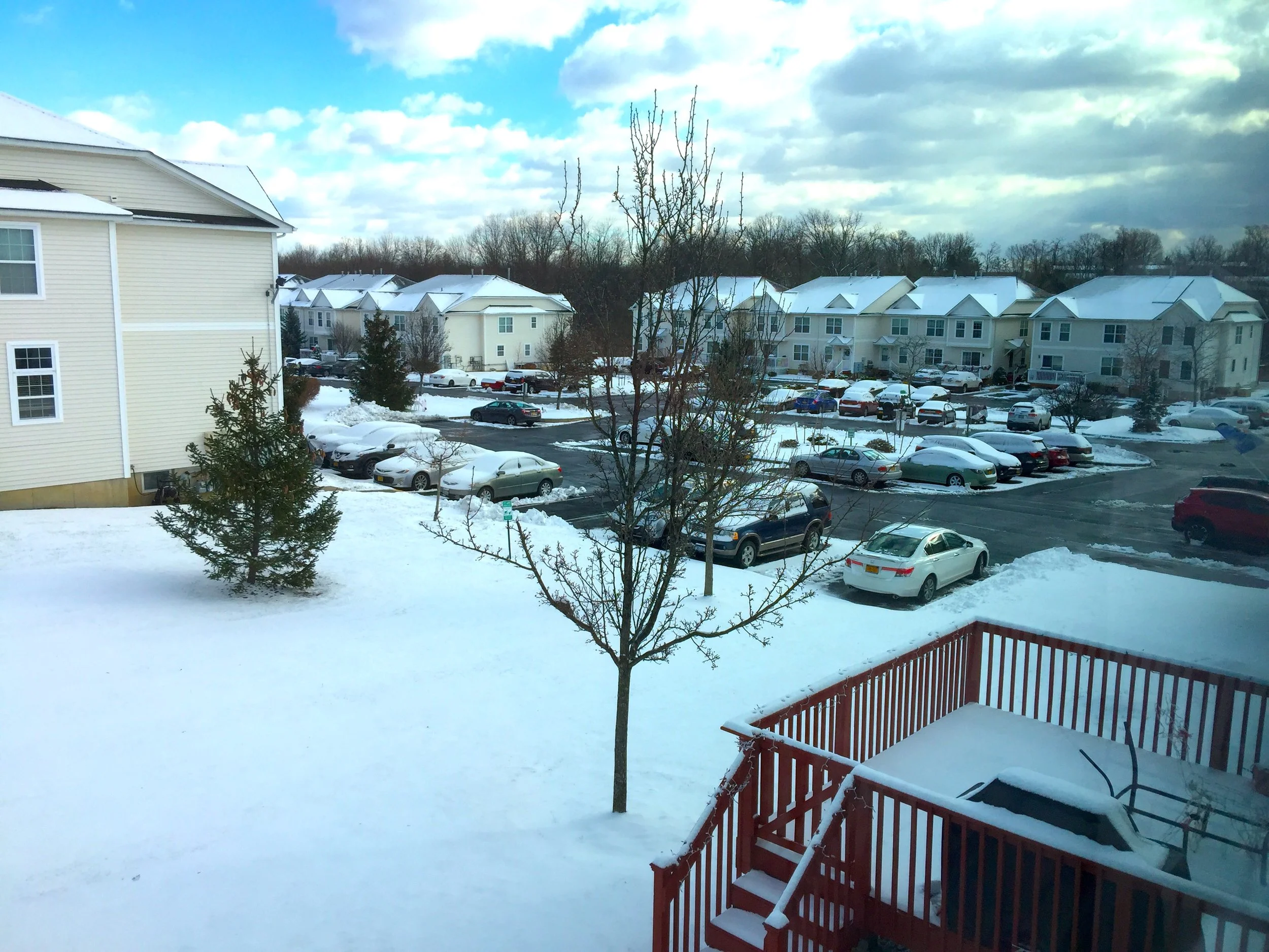 A White New Year 白色新年