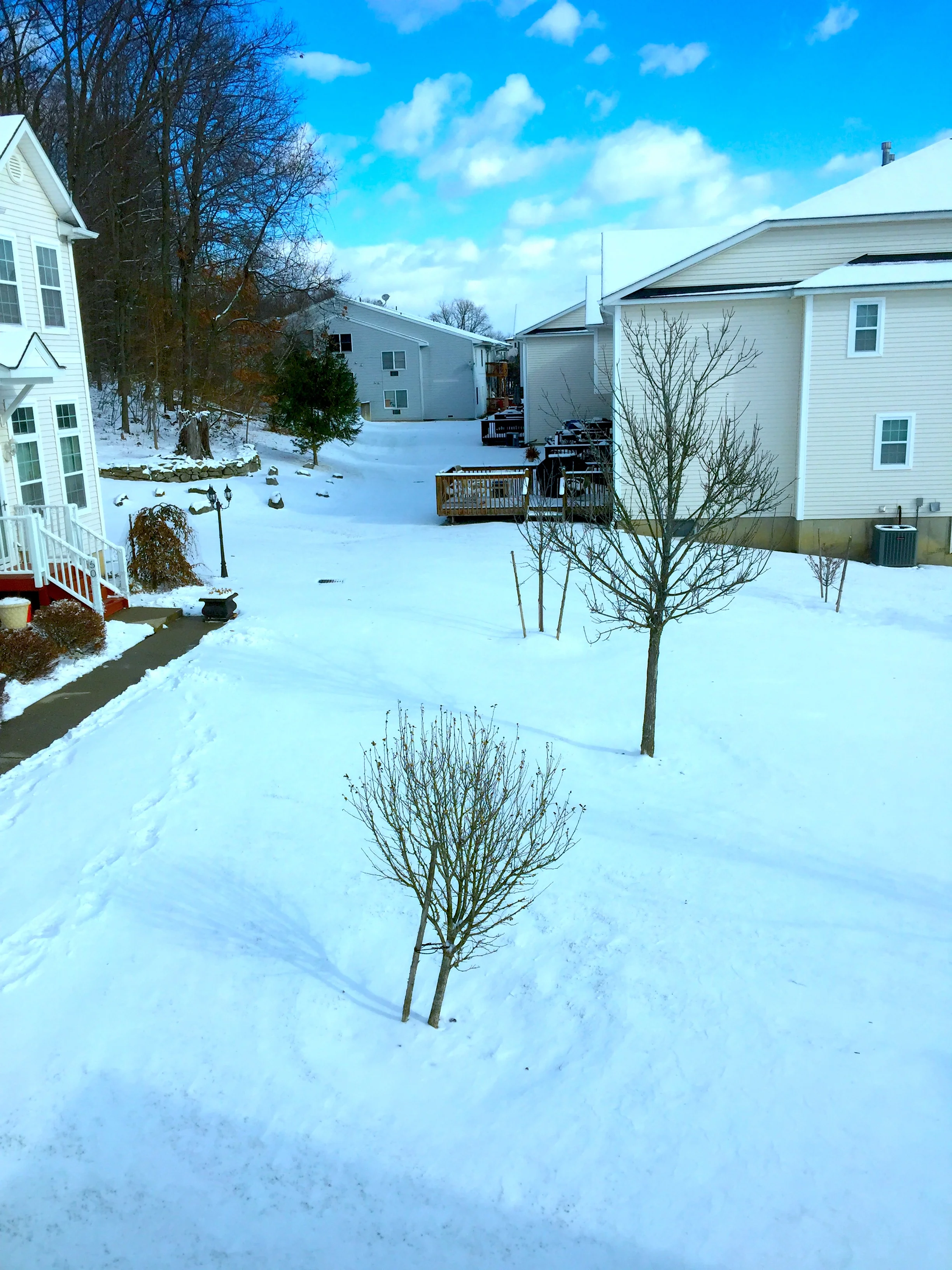 A White New Year 白色新年