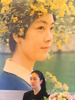 我的經歷及思考