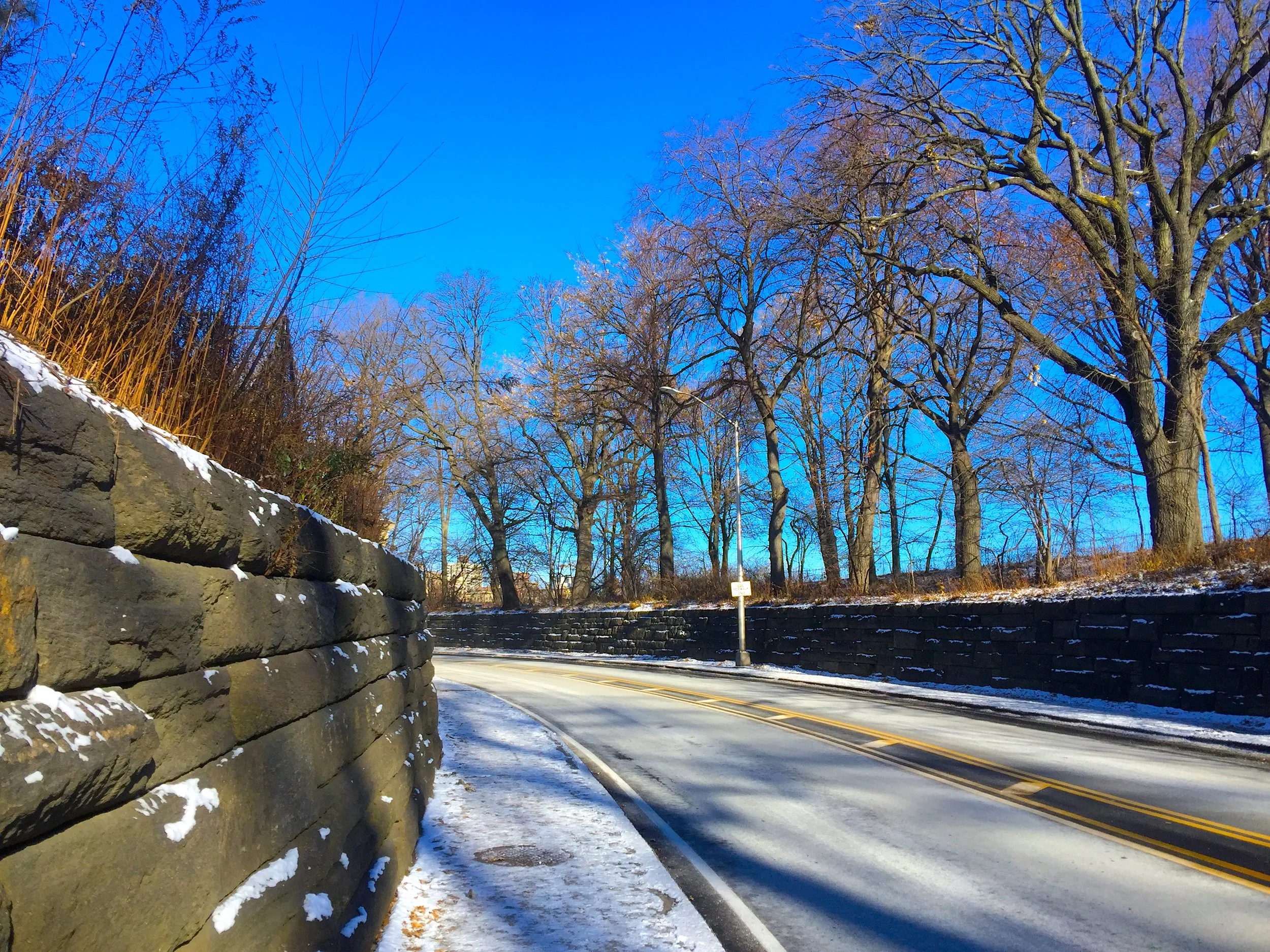 A Sunny Winter Day in New York 紐約冬日
