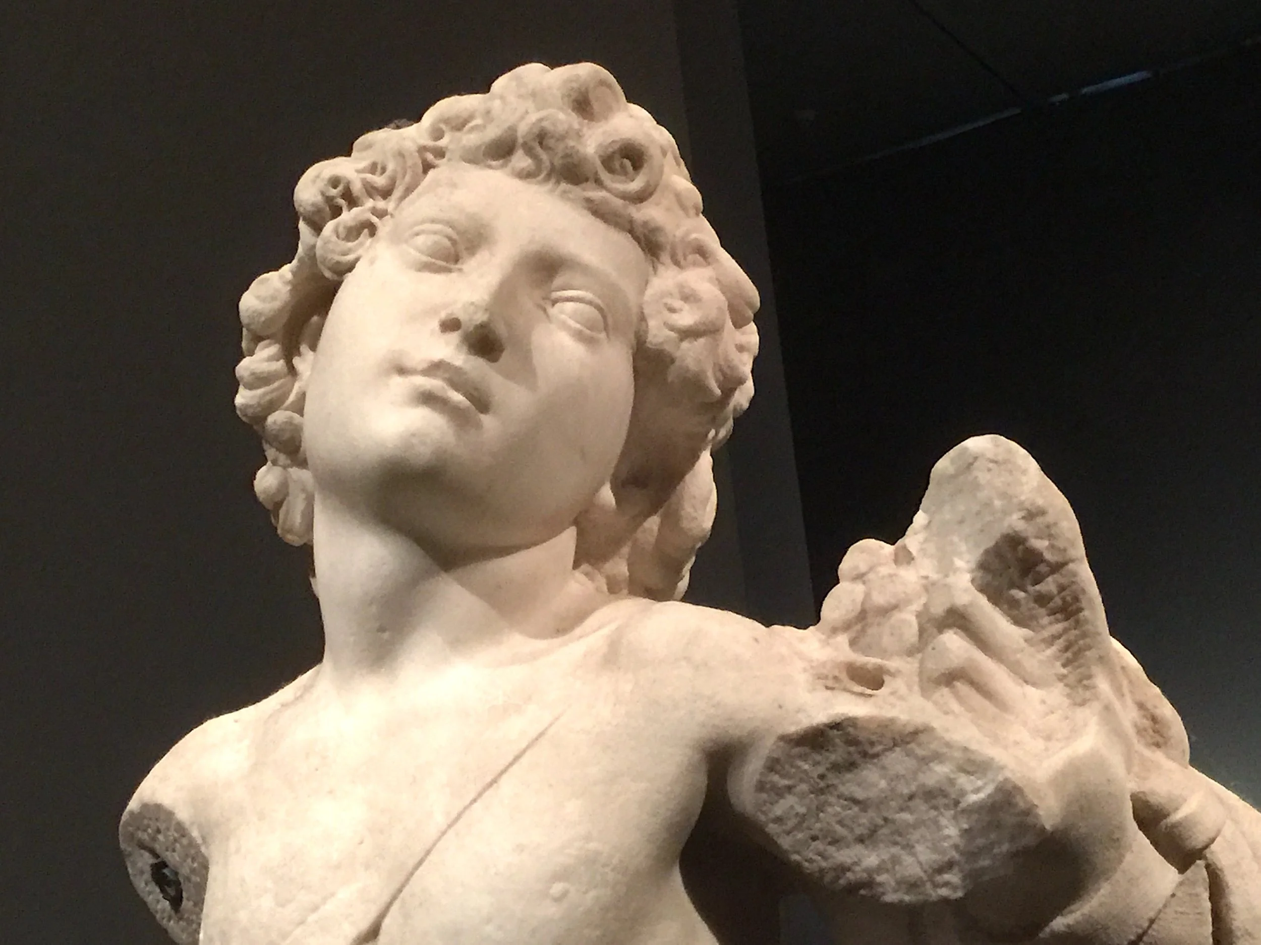 Young Archer 年輕的射手