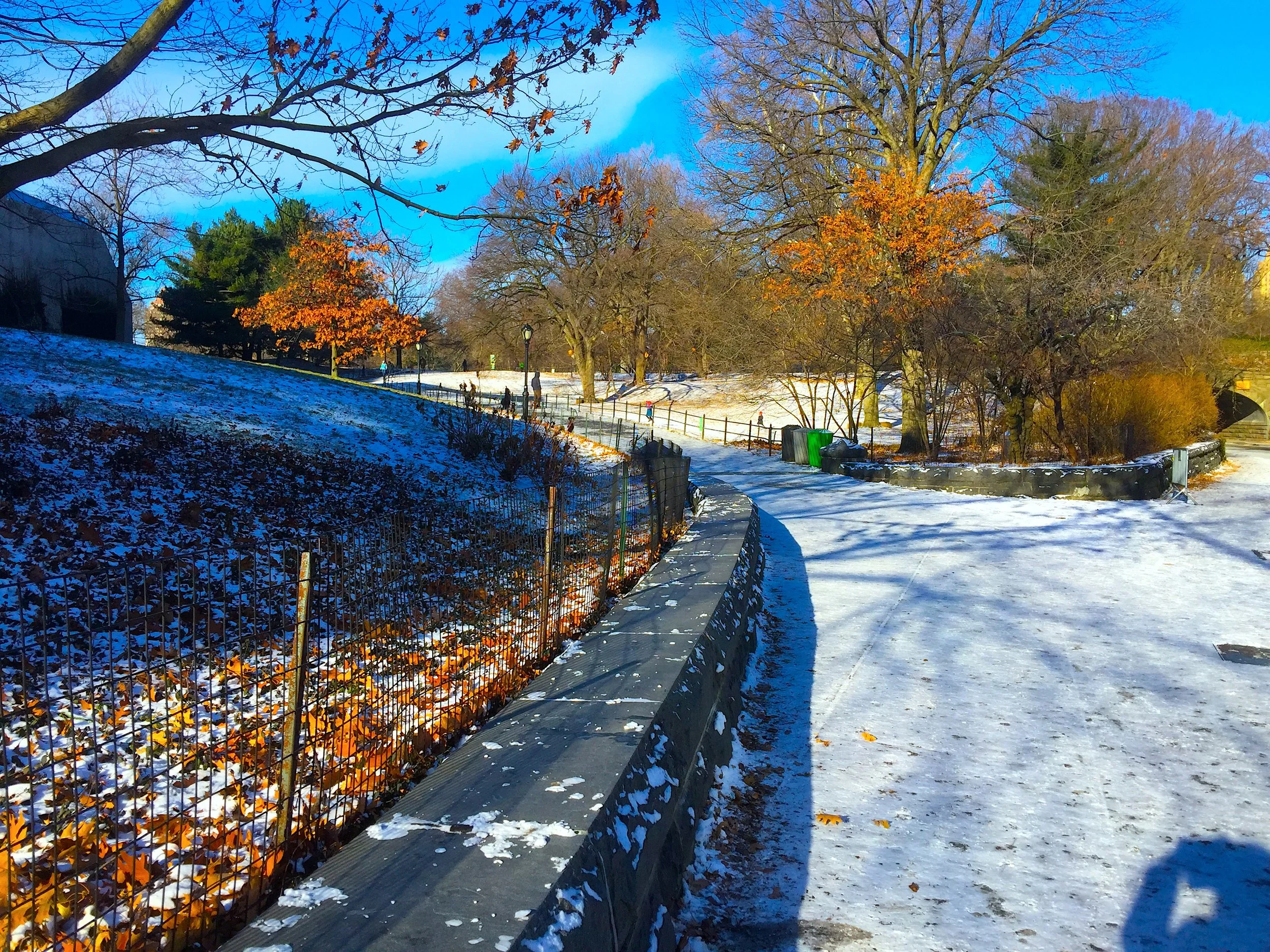 A Colorful Winter in New York  紐約冬日亦多彩