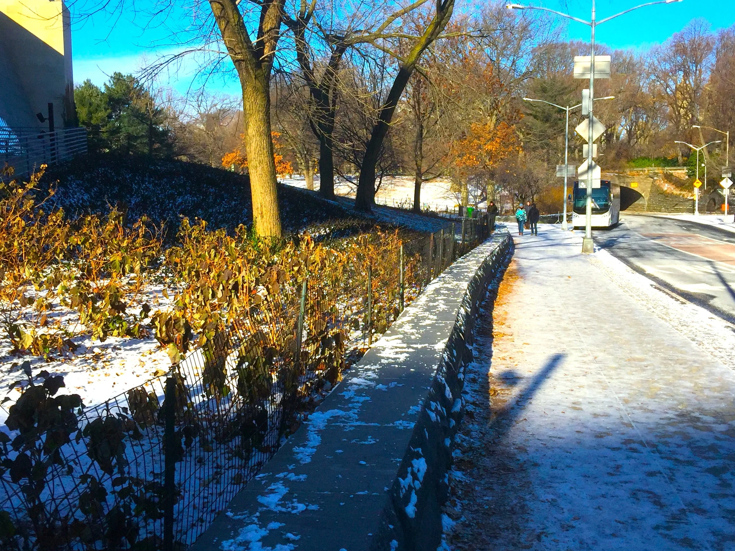 A Colorful Winter Day in New York 冬日