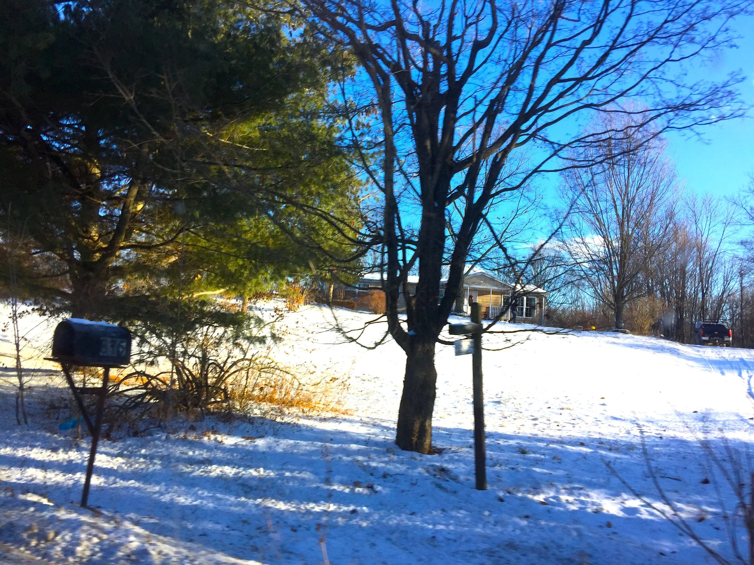 Home in the Woods 雪中家園