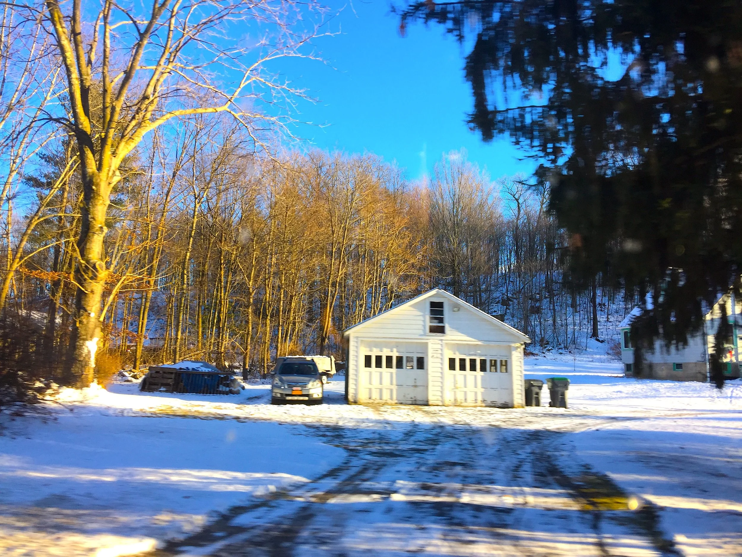 Home in the Woods 雪中家園