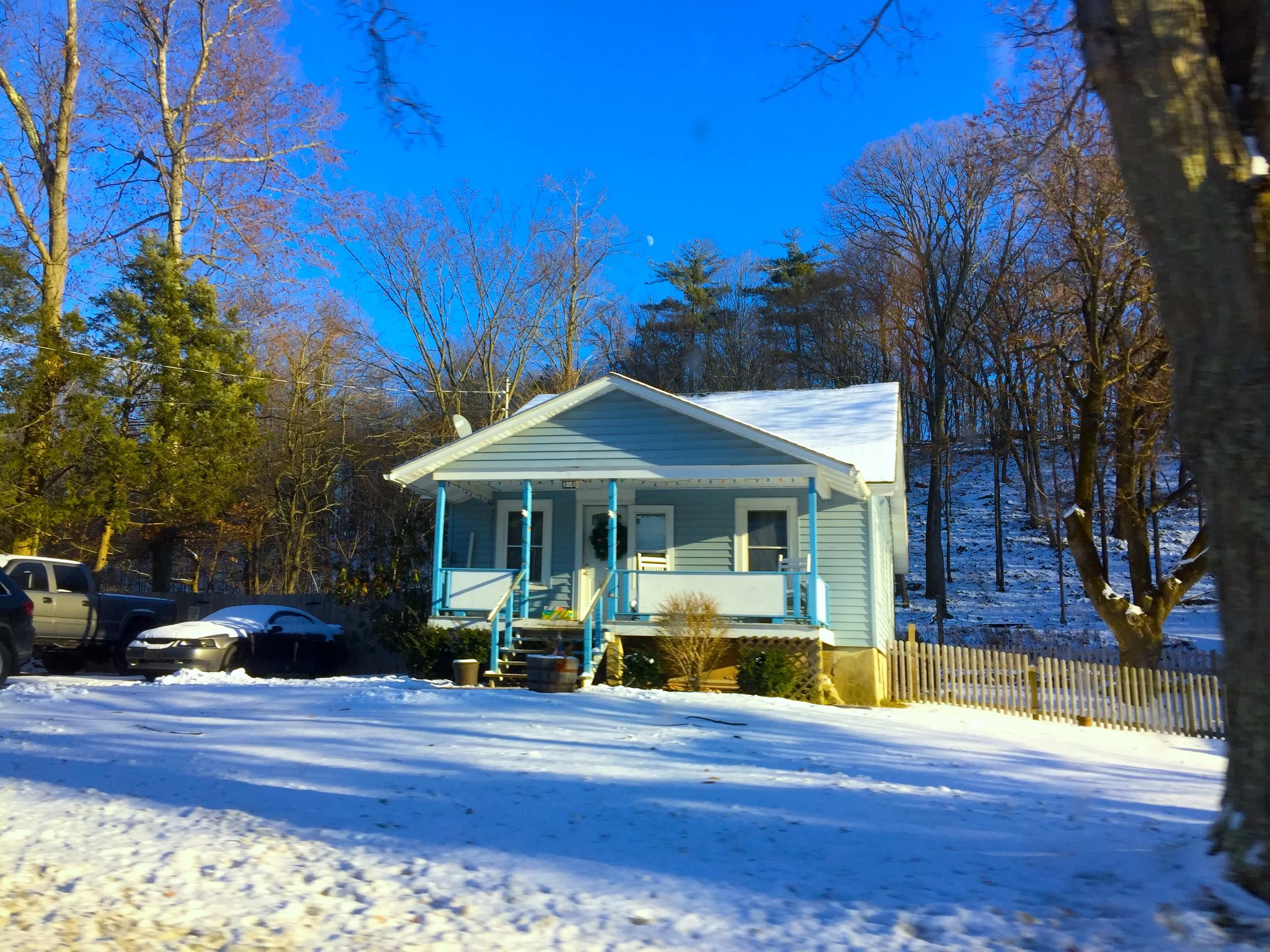 Home in the Woods 林中家園