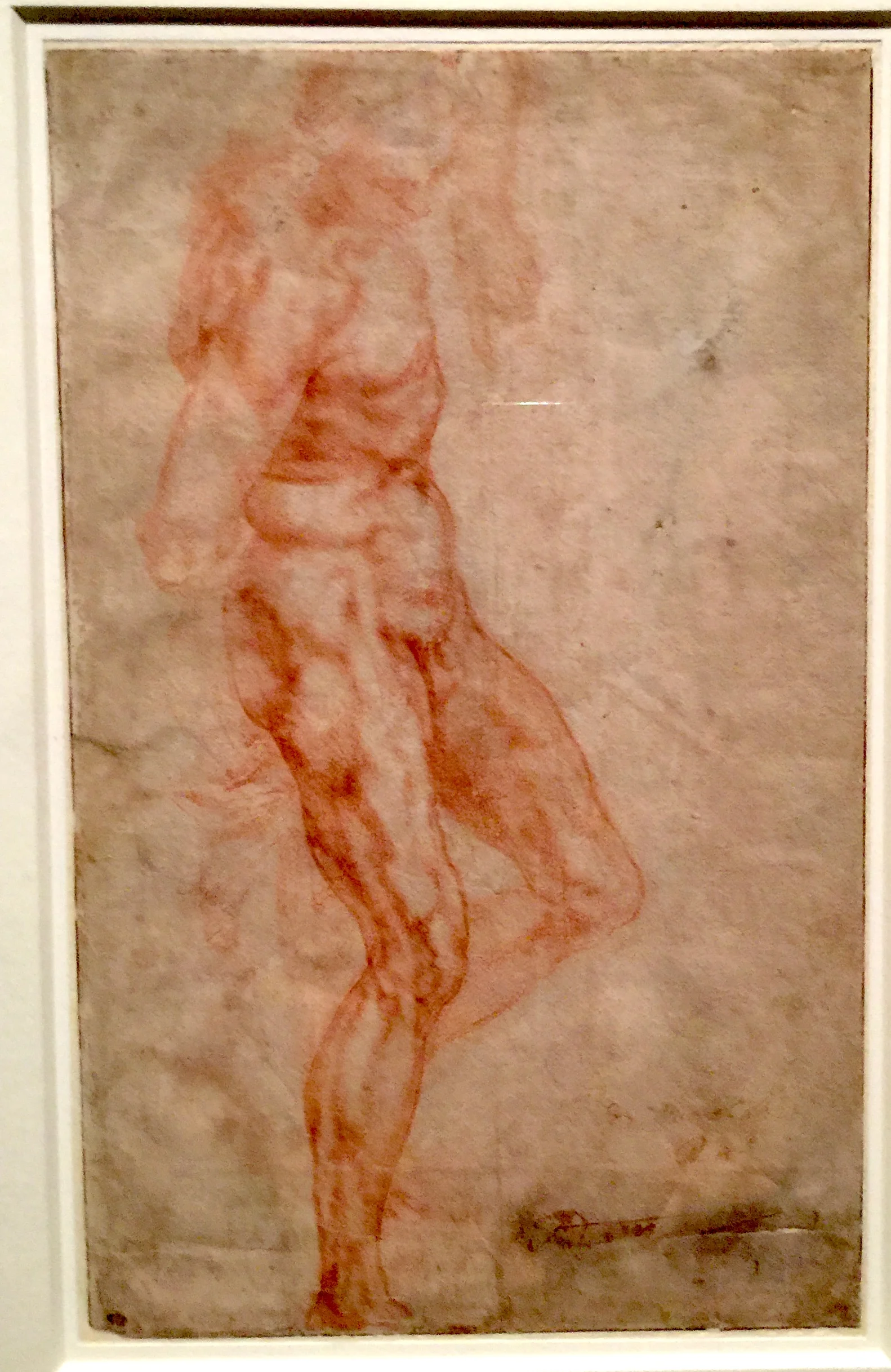 Study of a Standing Male Nude 米開朗基羅手稿：站立的裸男