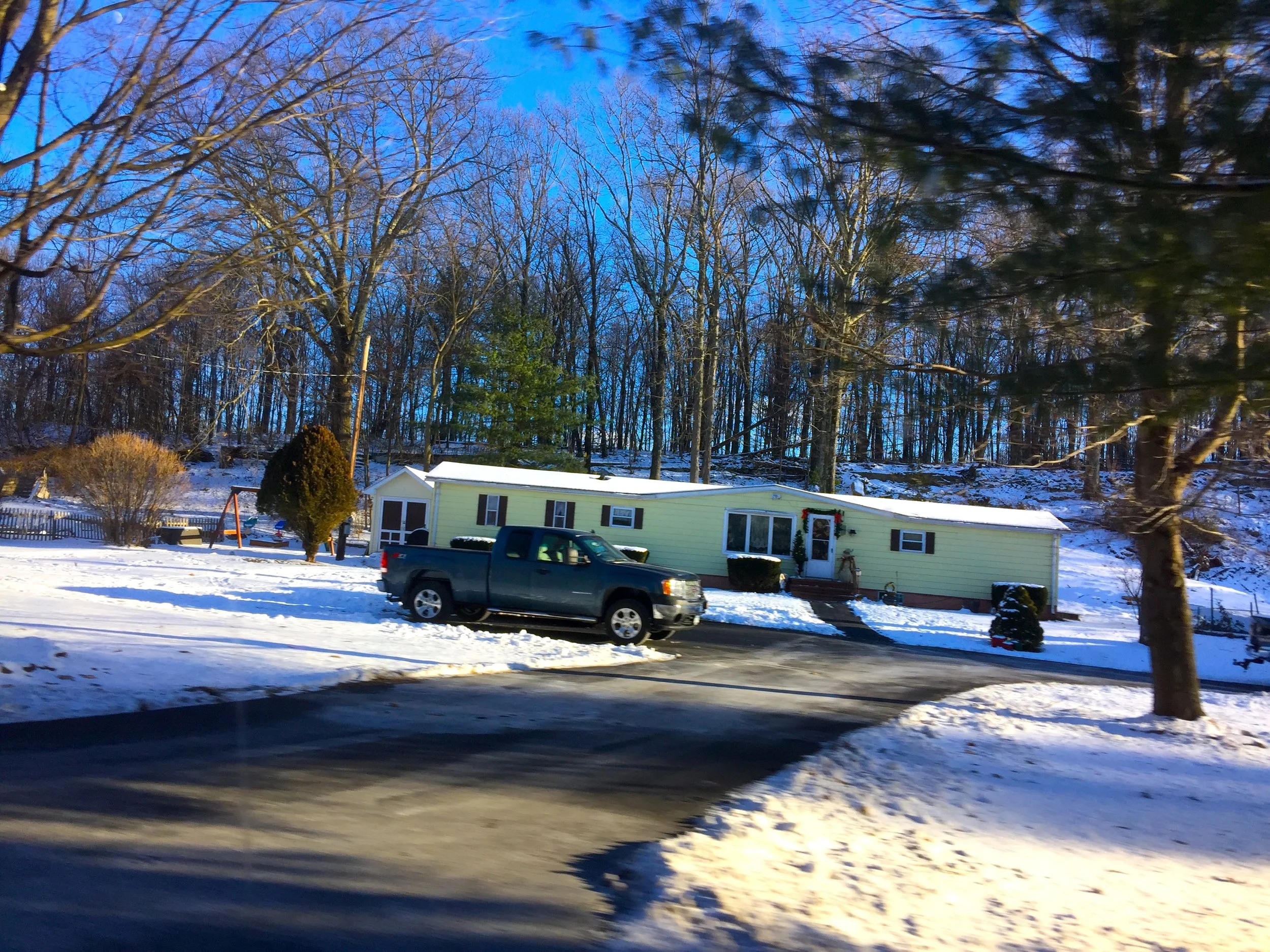 Deep in the Woods 密林深處