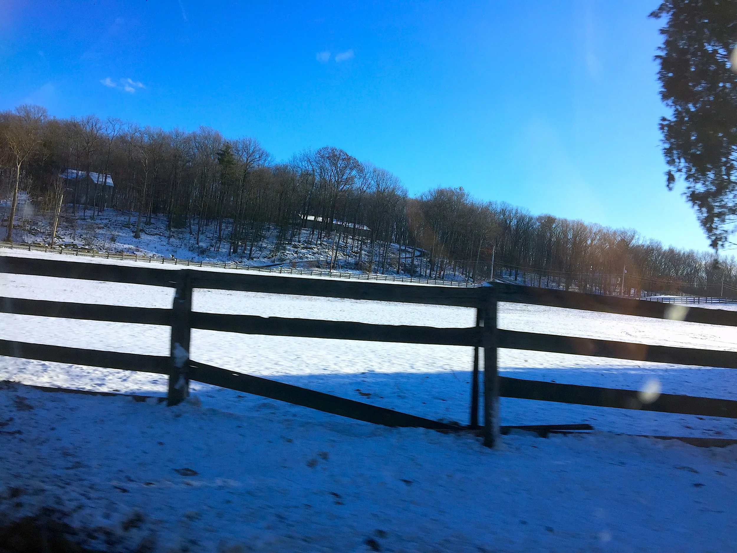 Into the Woods 雪原•牧場