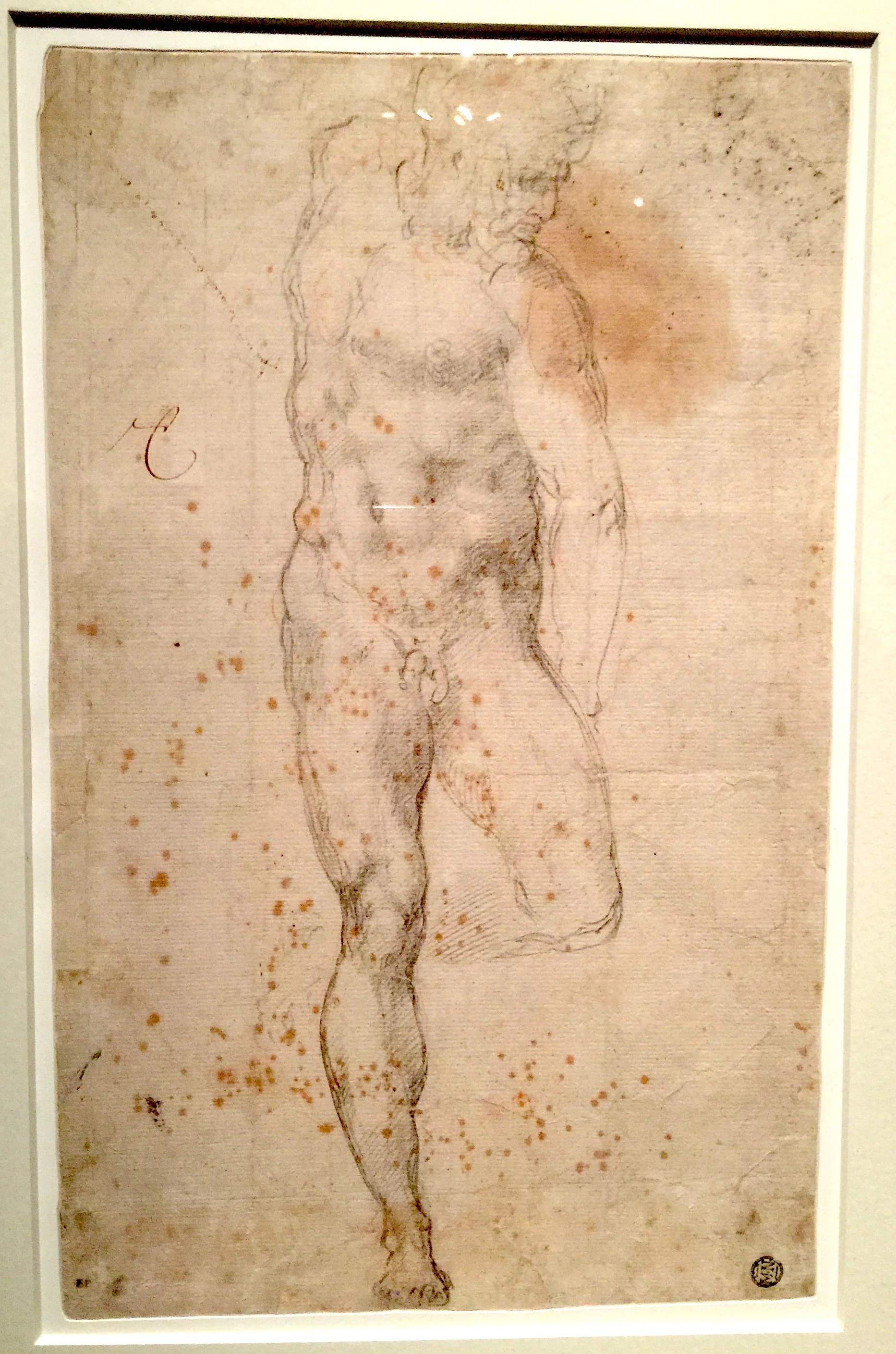 Study of a Standing Male Nude 米開朗基羅手稿：站立的裸男